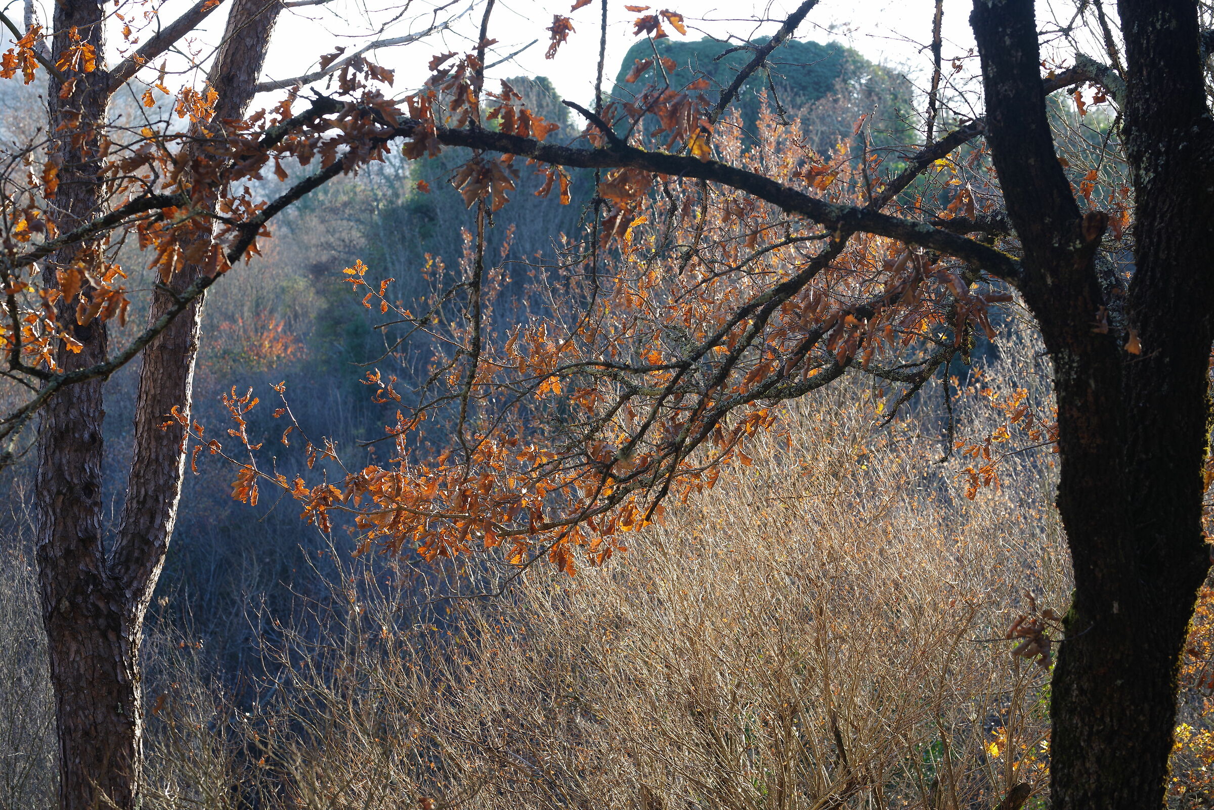 Giardino grotte di Pastena (Frosinone)