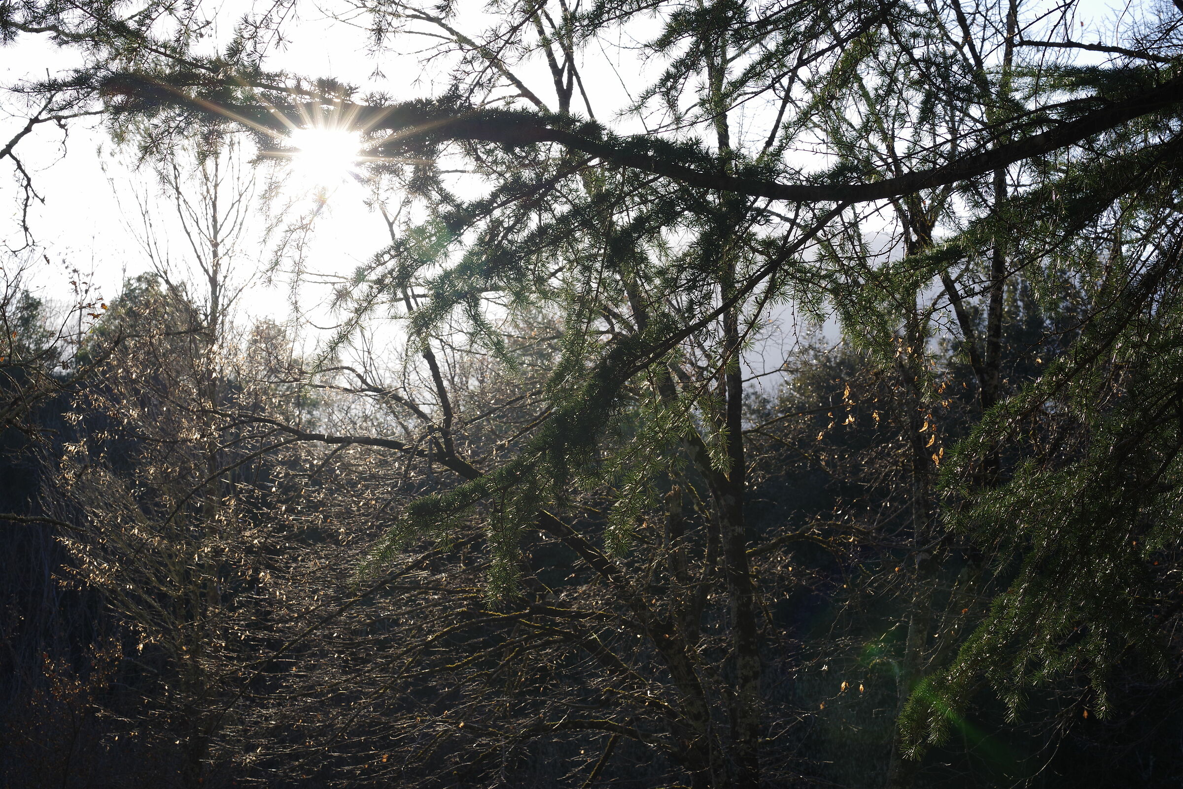 Giardino grotte di Pastena (Frosinone)