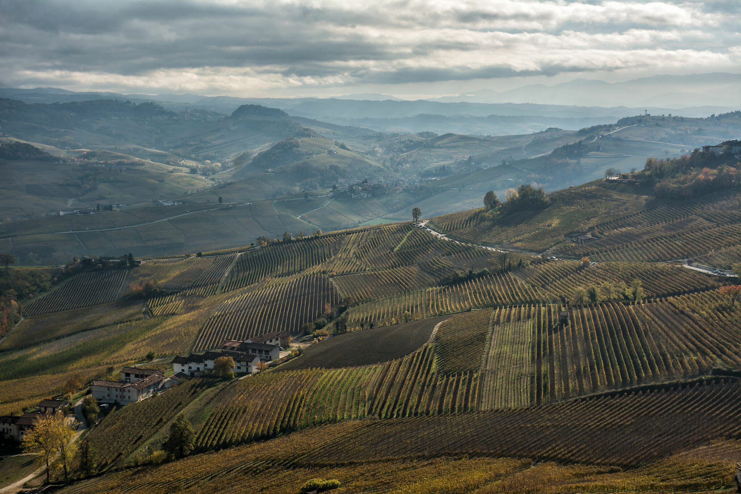 I vigneti di La Morra
