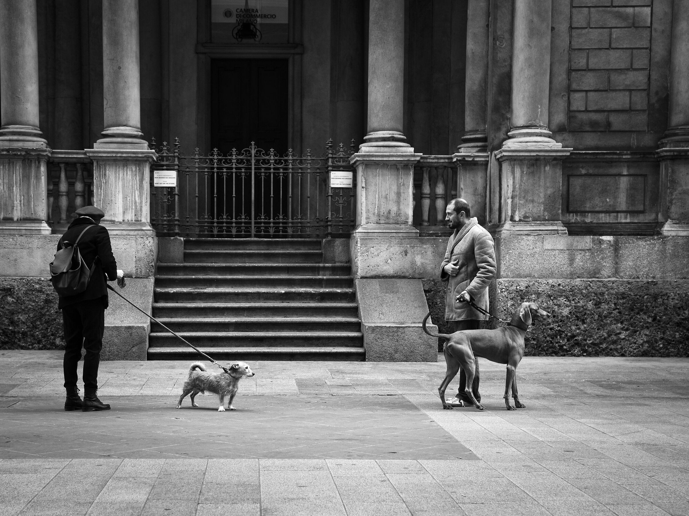 La teoria degli opposti