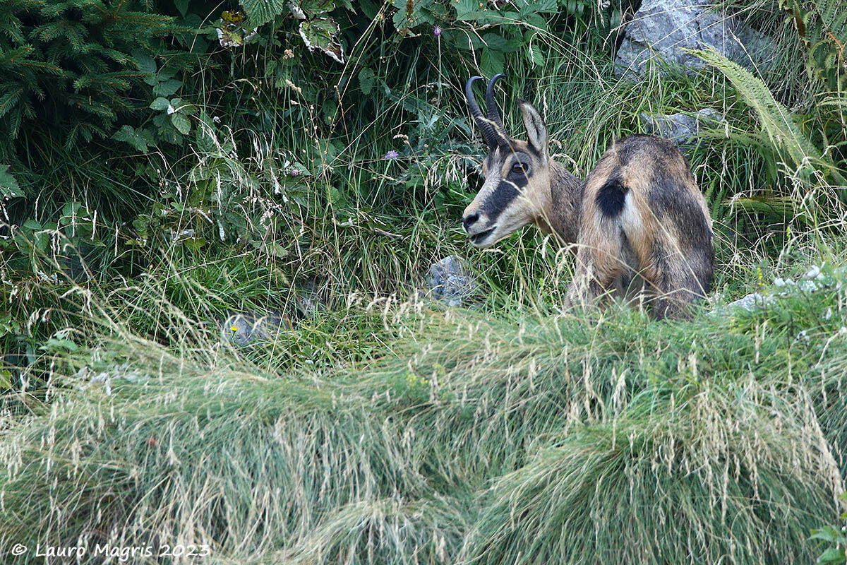 Always under control