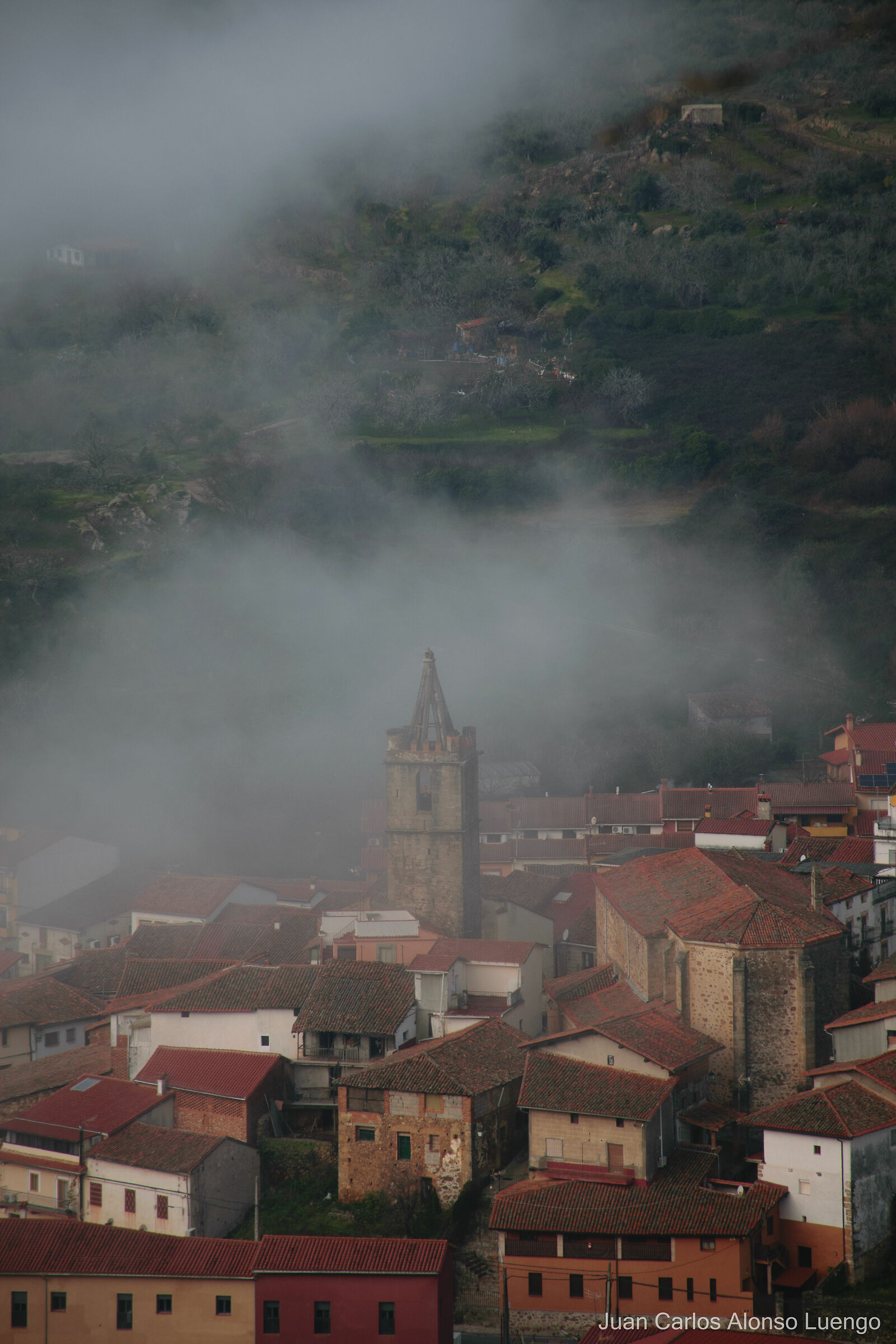 Nebbia in città - 1