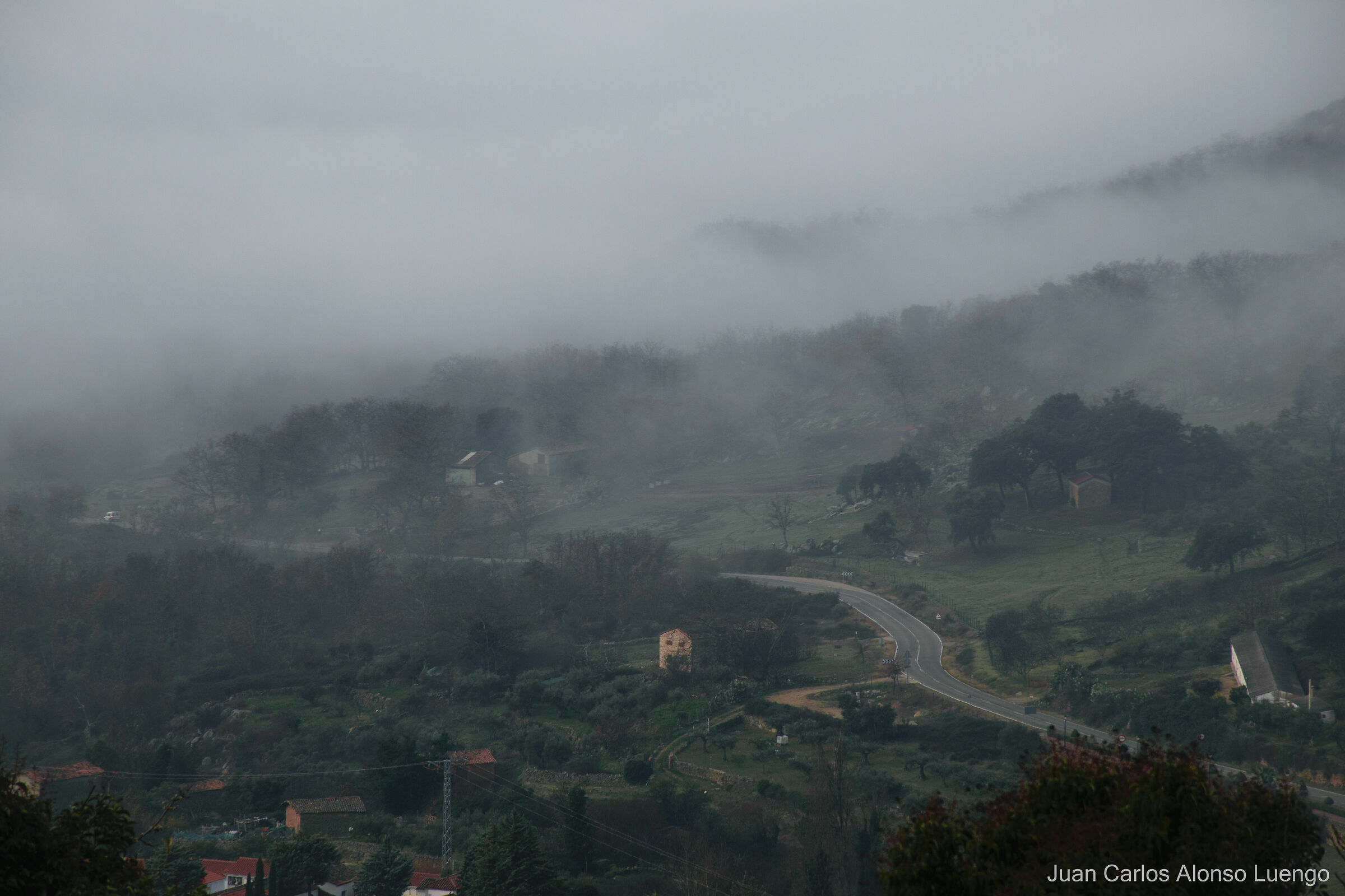 Nebbia in città - 2