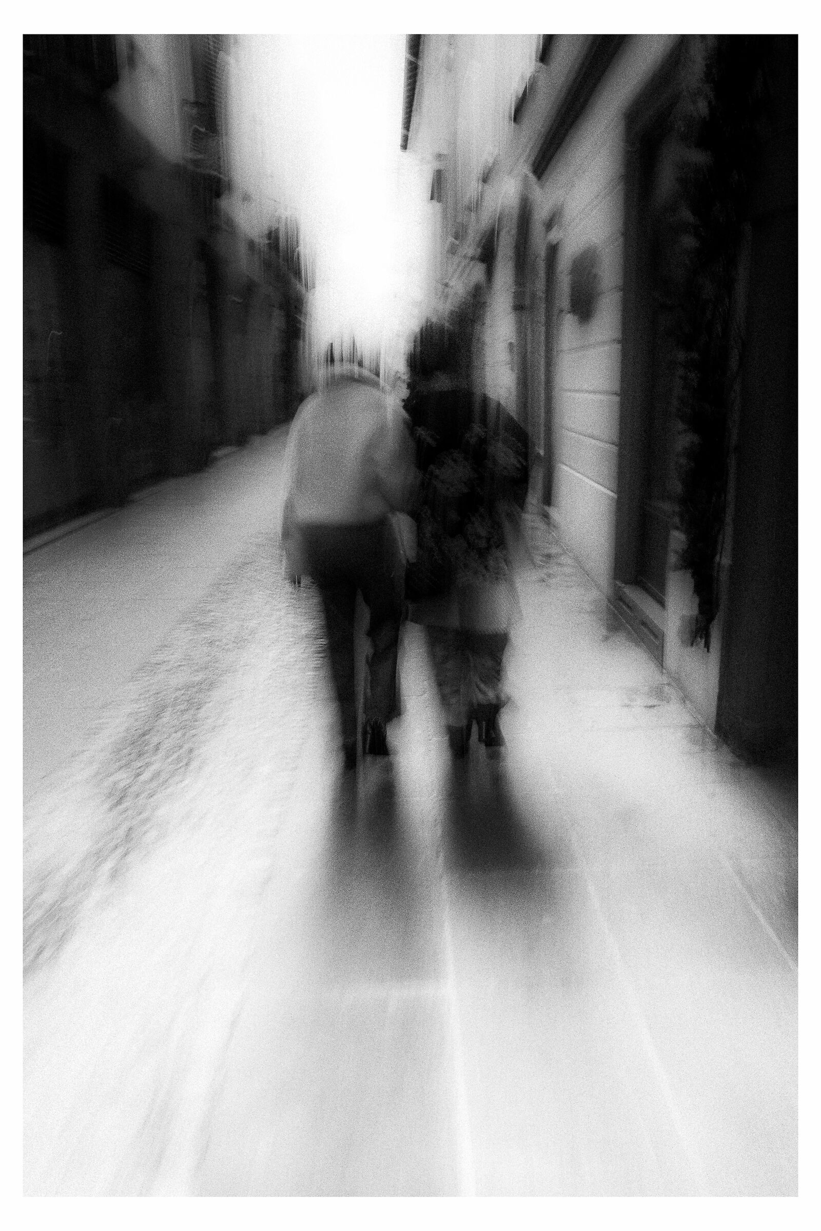 Untitled Photo