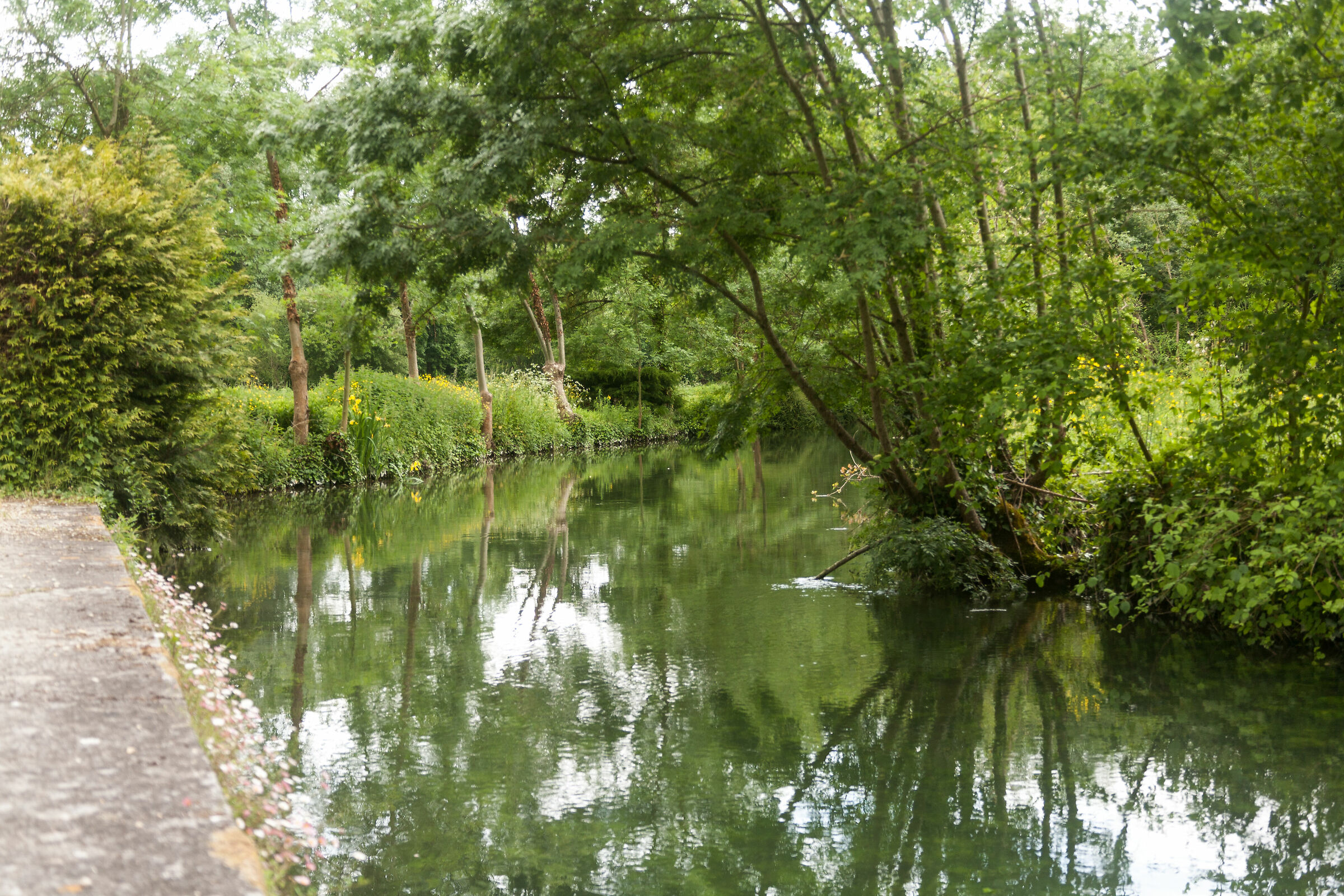 river