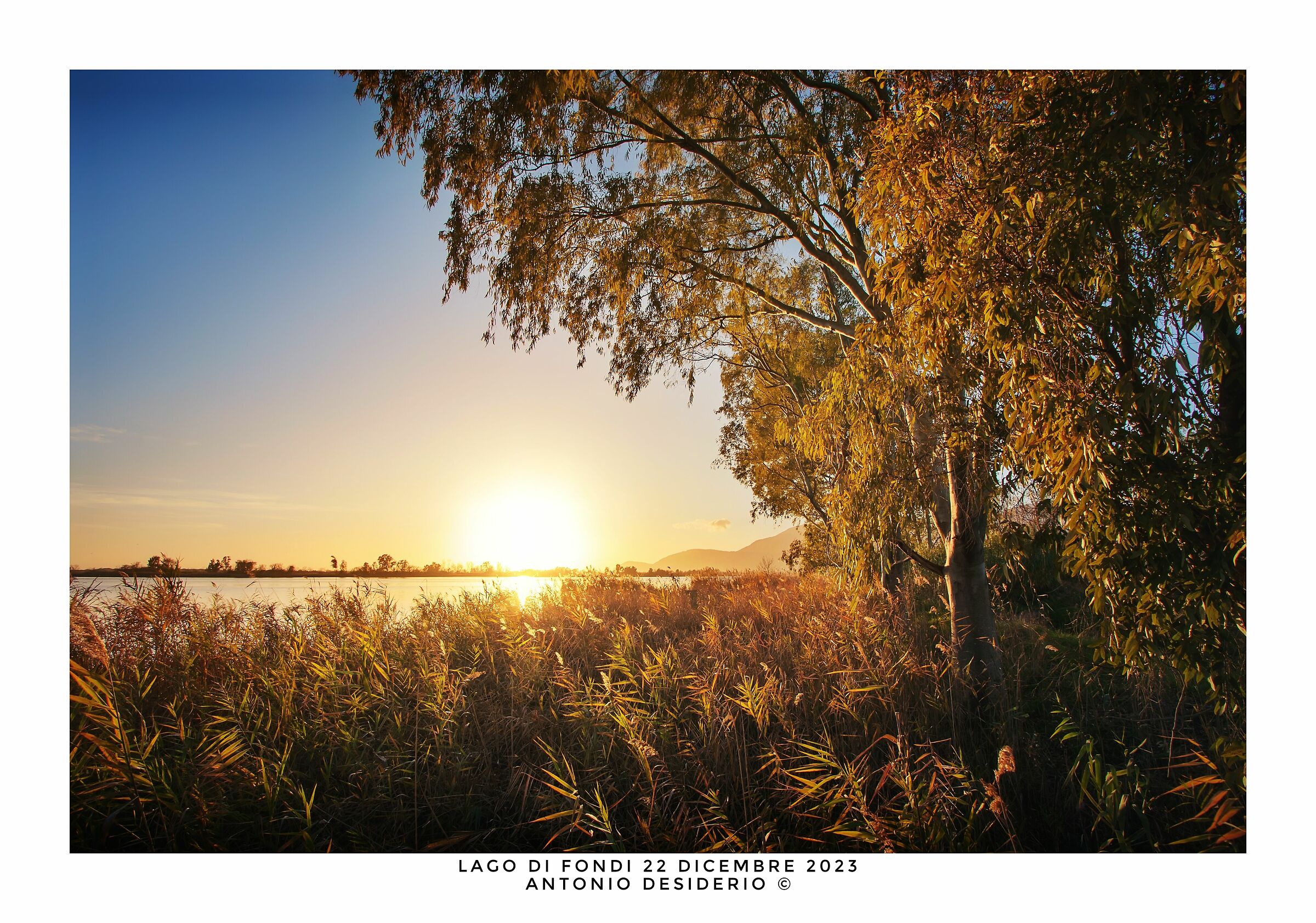 Warm light in the cold winter