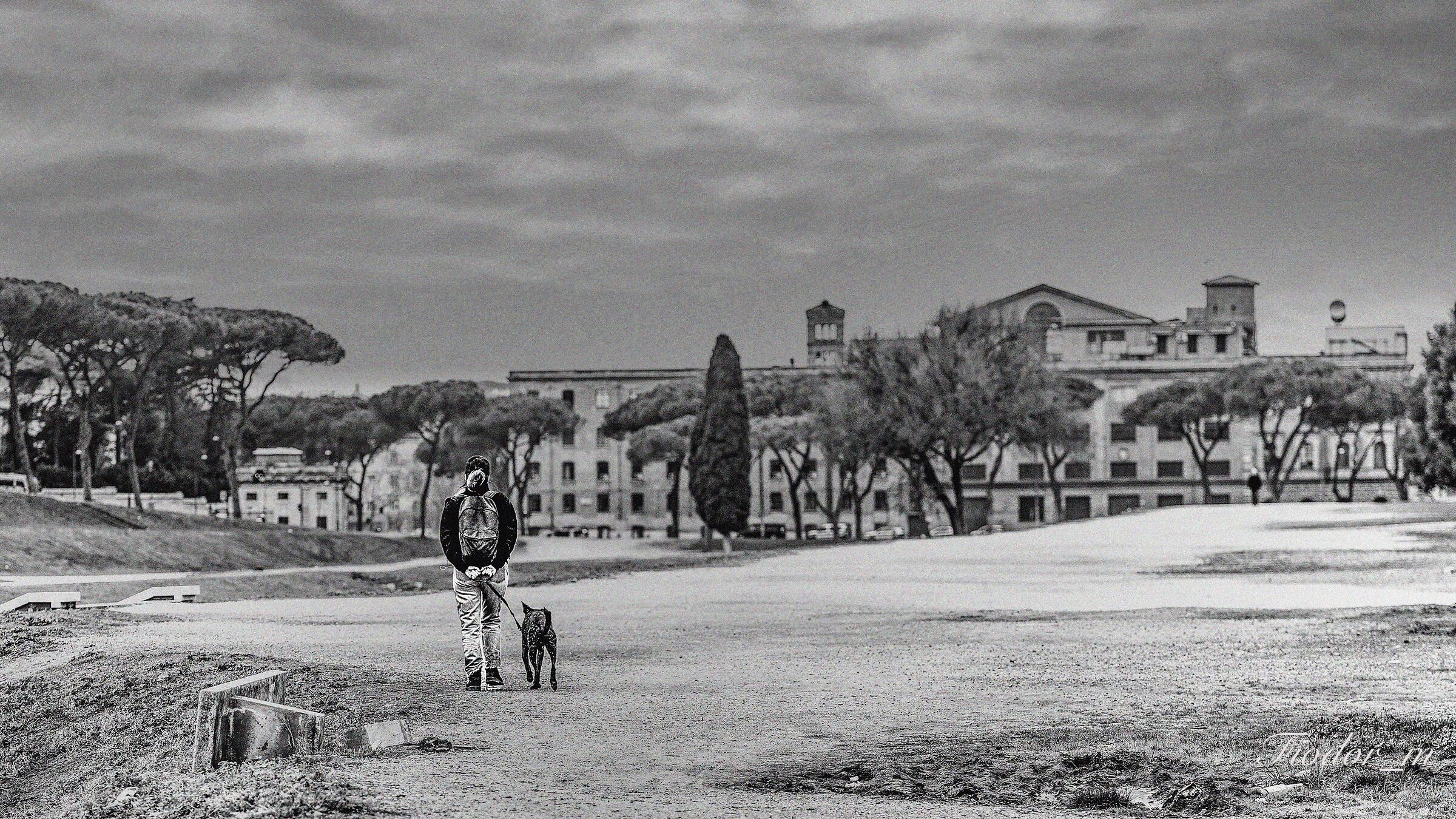 Walking with the dog