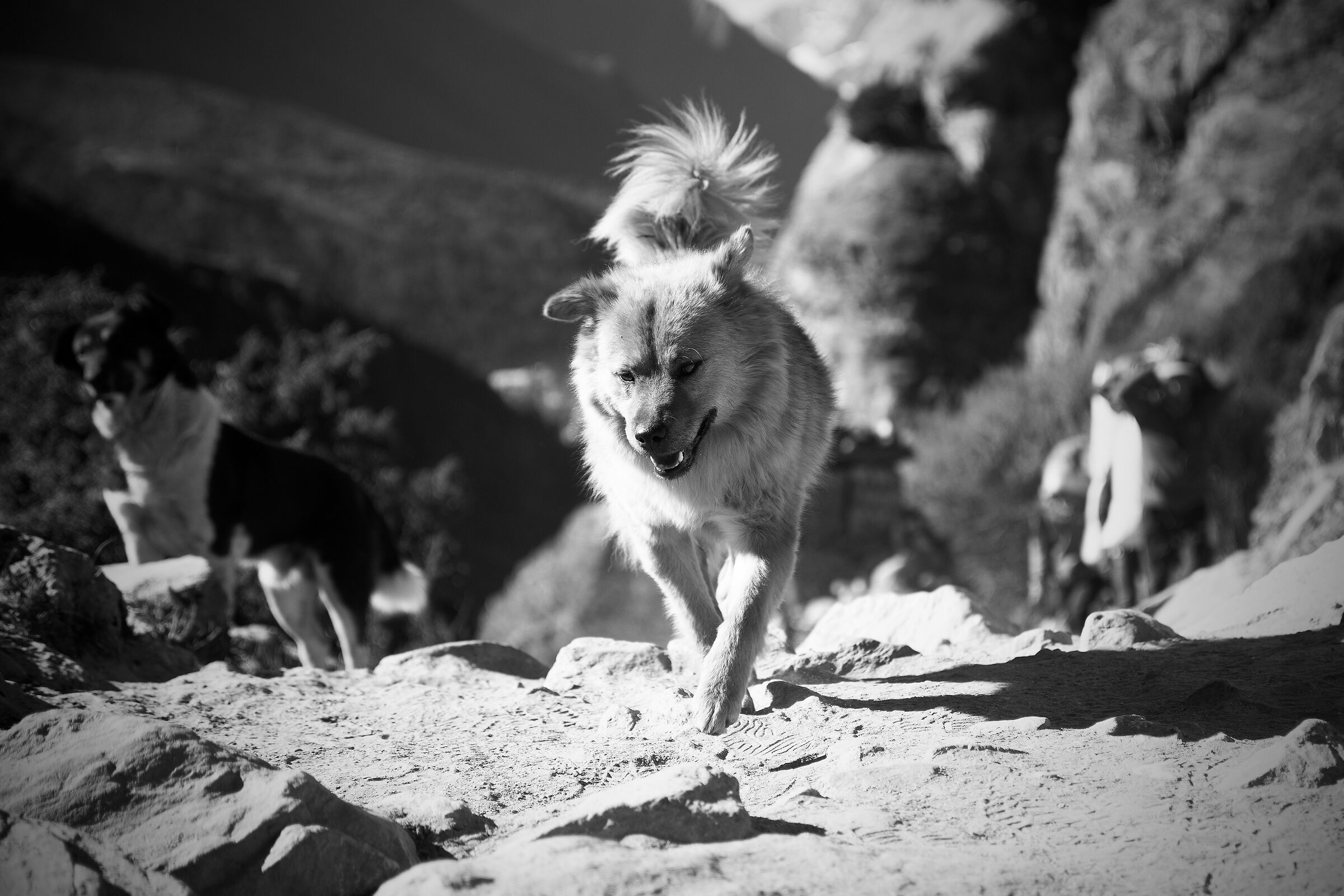 How tiring the climb