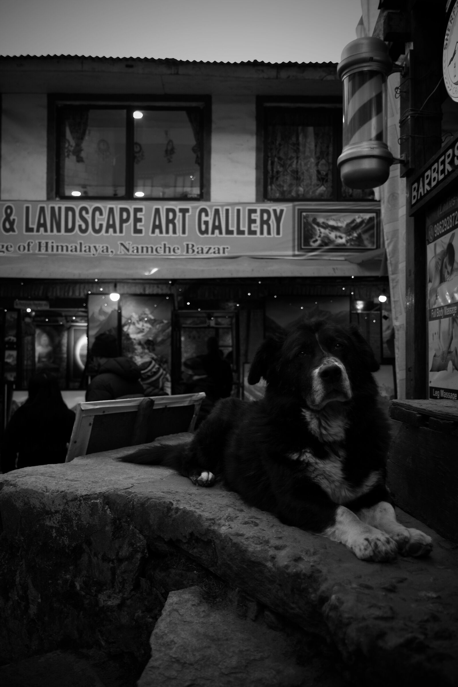 The Guardian of the Art Gallery