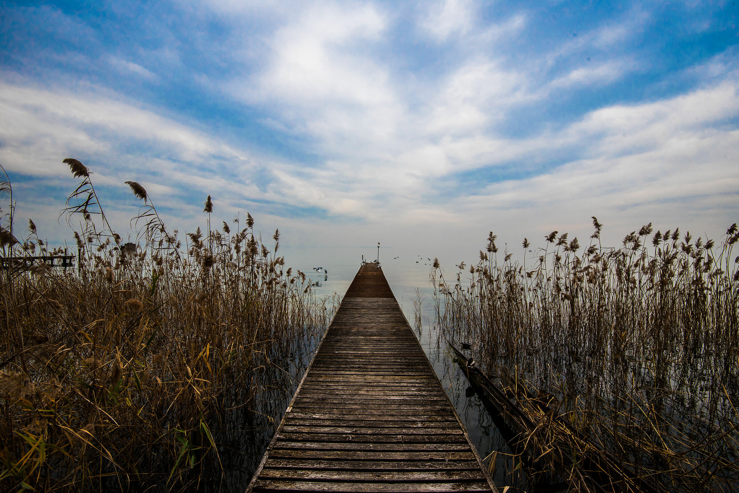 Lago di Garda - il pontile