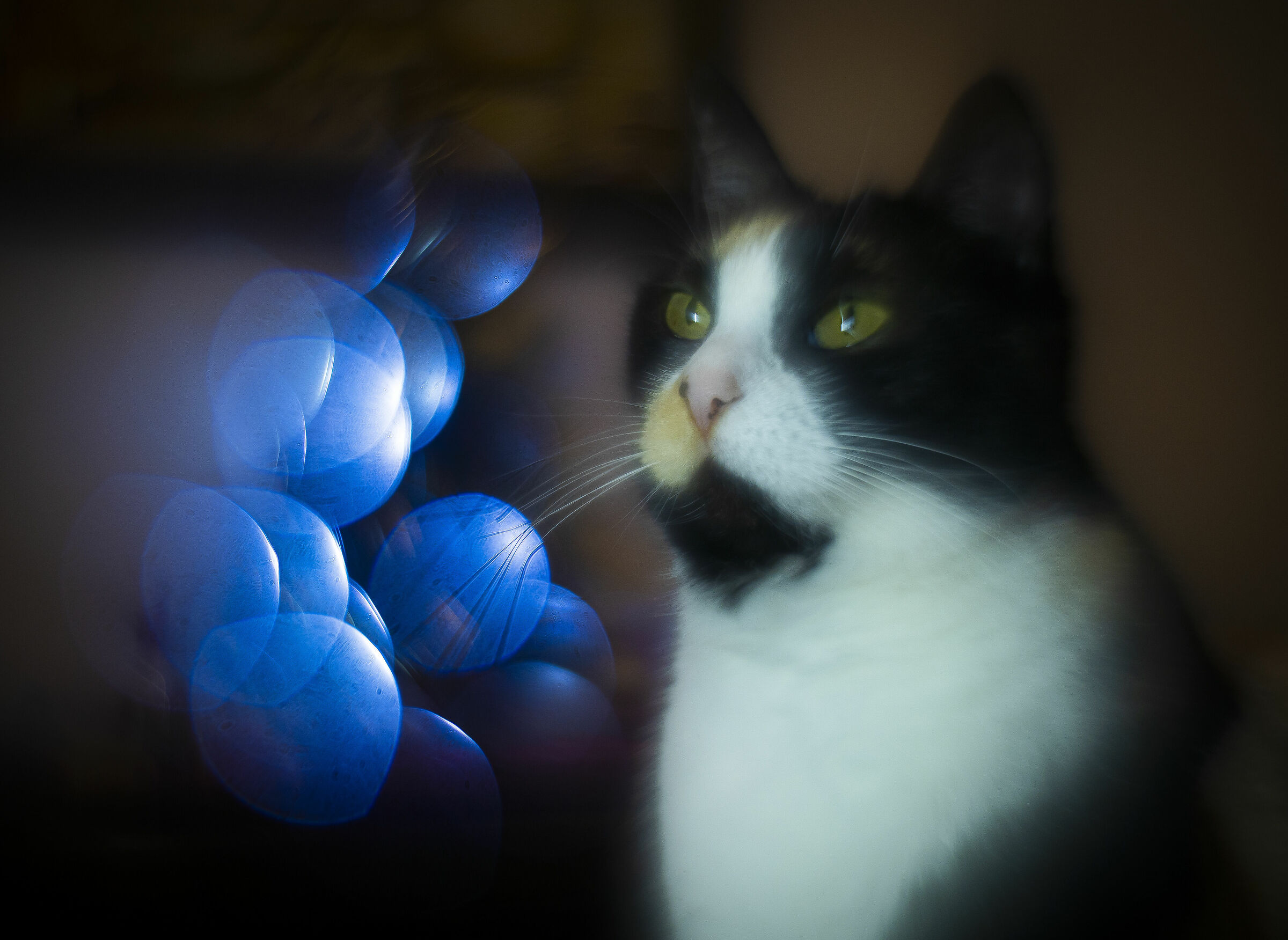 Sissy and Helios
