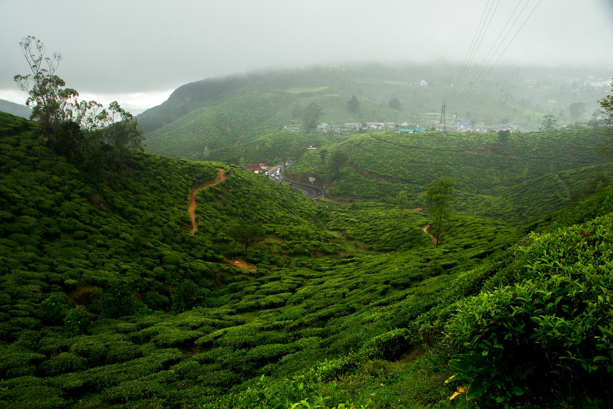 Nuwara Elya, capitale del Thé in Sri Lanka