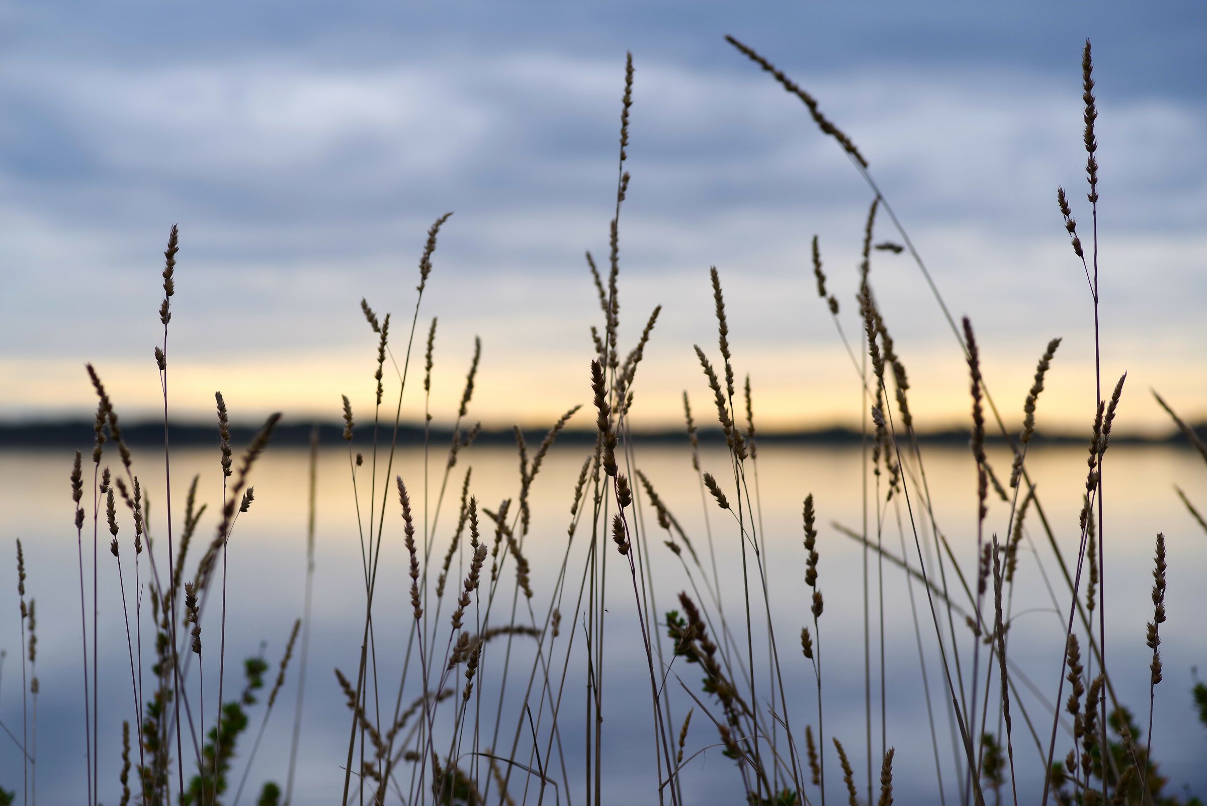 Lago di Fogliano (Latina)