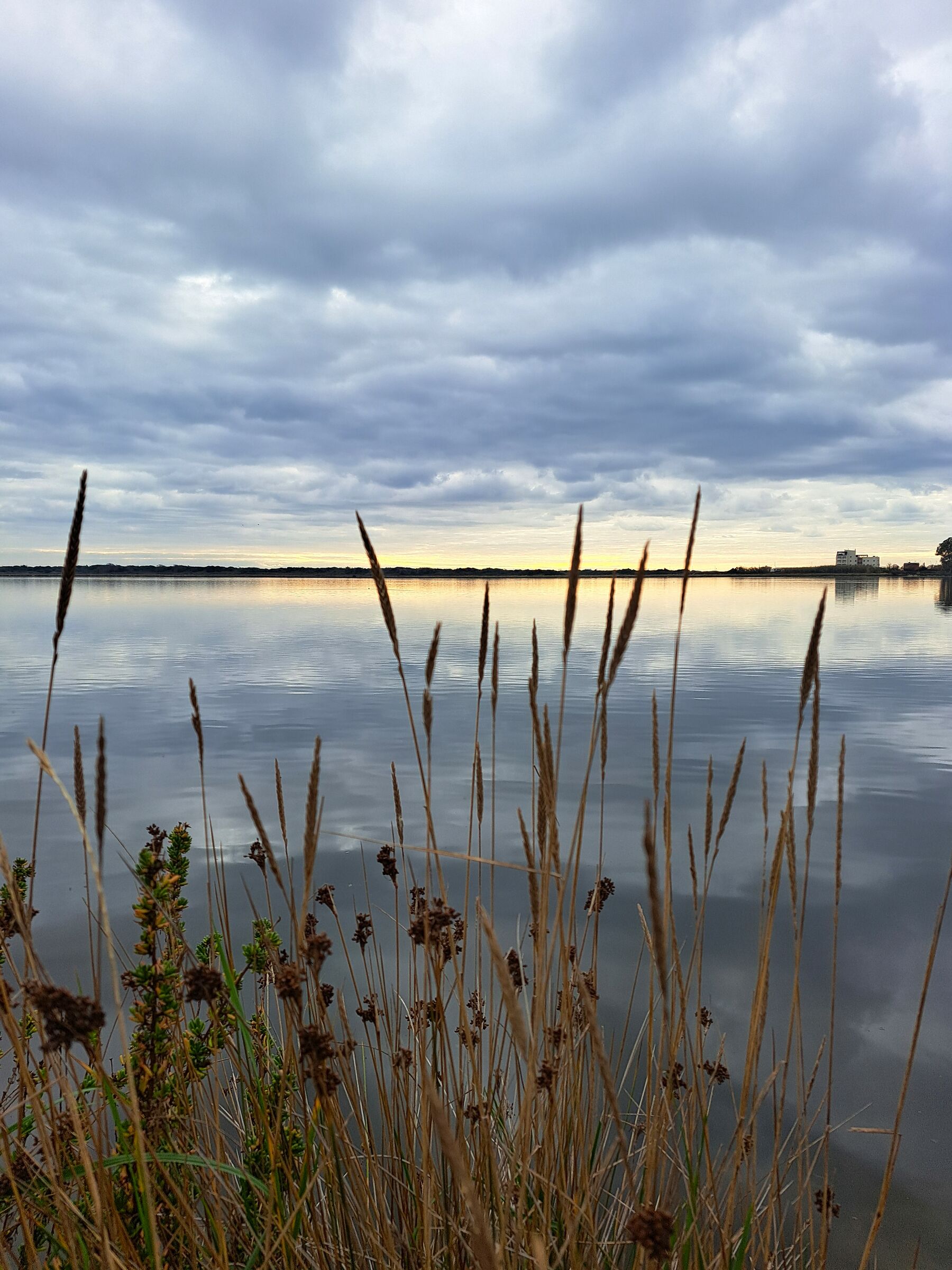 Lago di Fogliano (Latina)