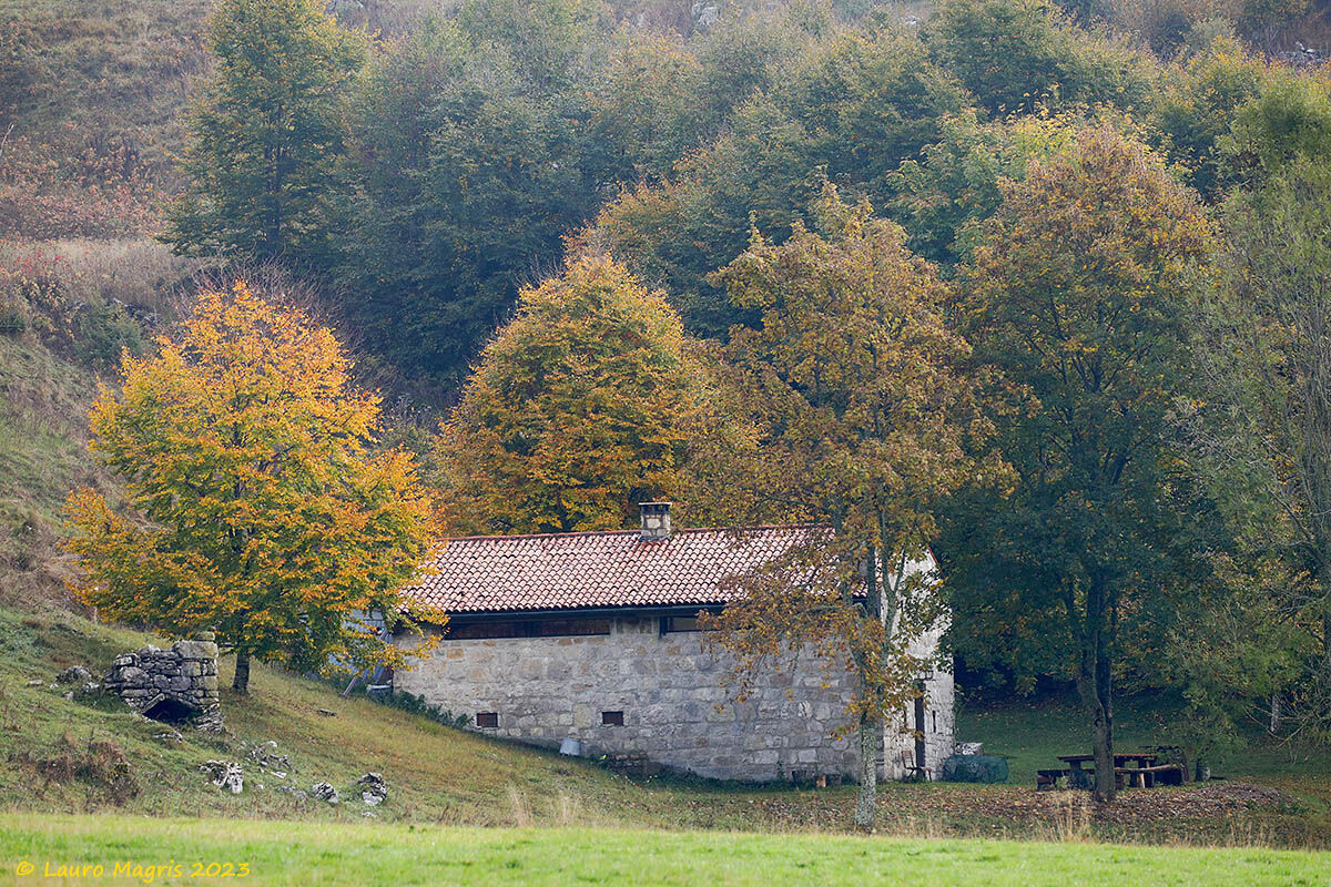Autunno a Cadolten