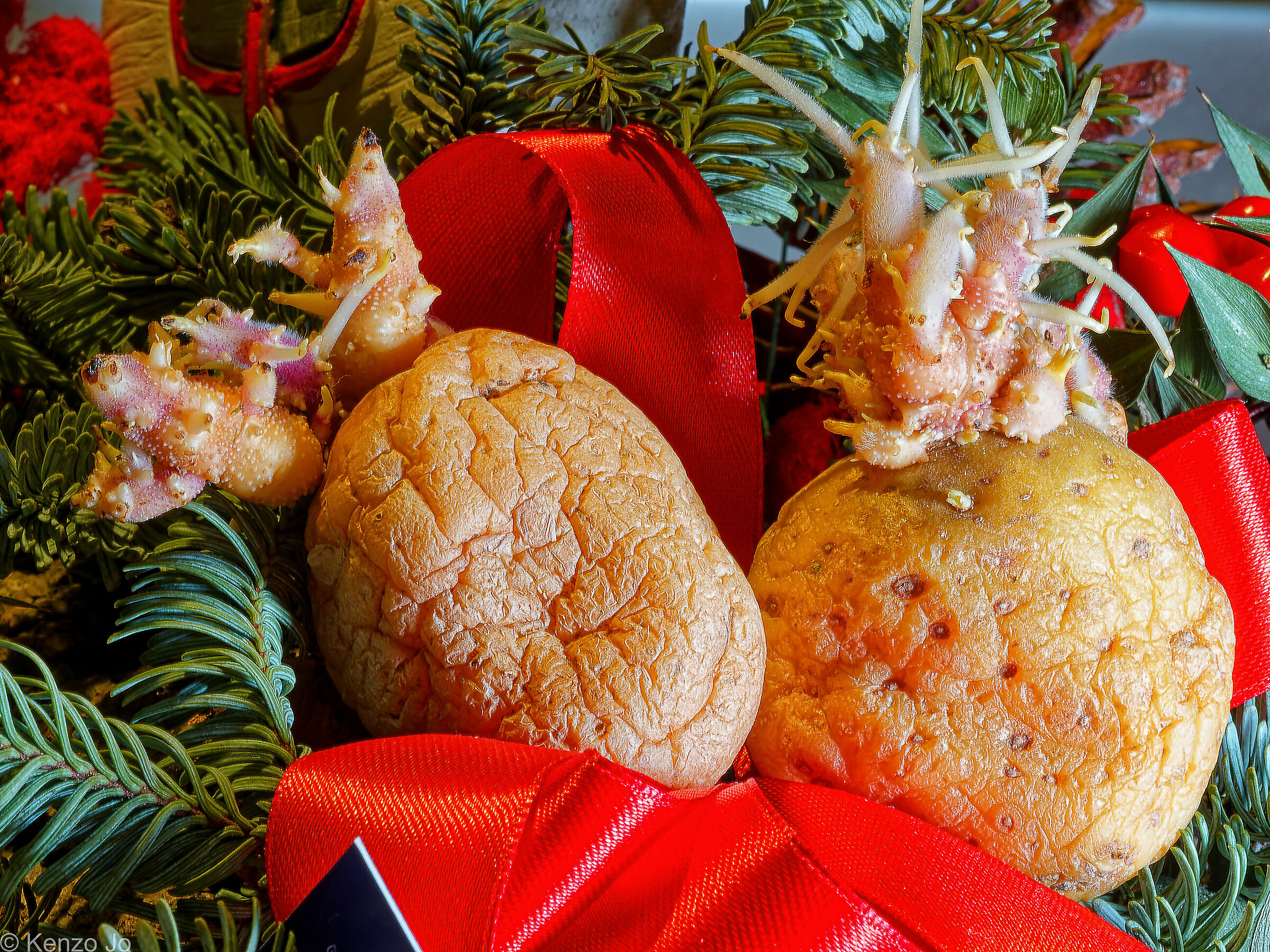 Chips & Chips (regnanti dell'anno che va...)