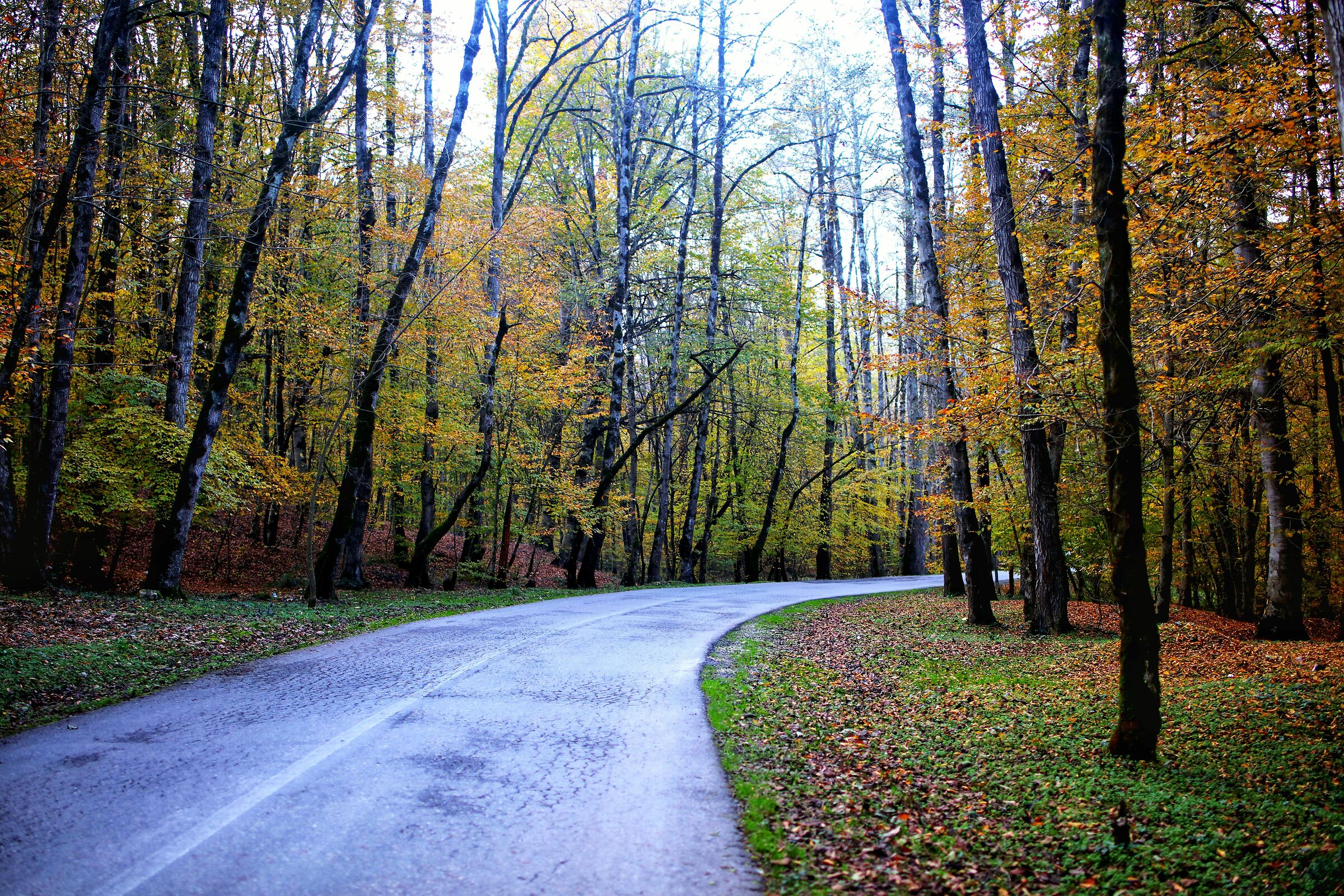 Obiettivo Canon 5dsr 45 mm Tamron F 1.8