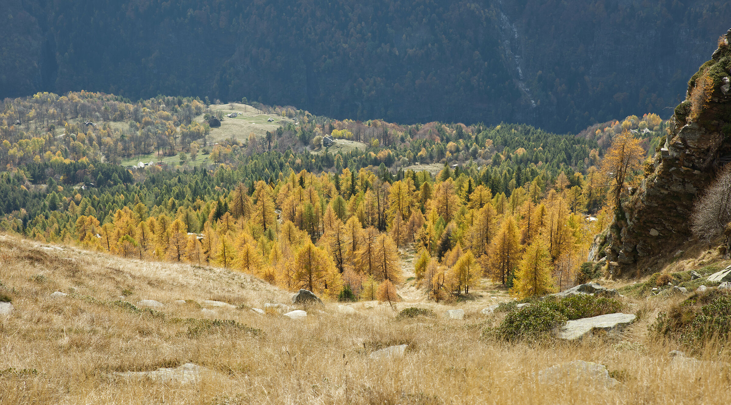 autumn in Valdivedro 2022