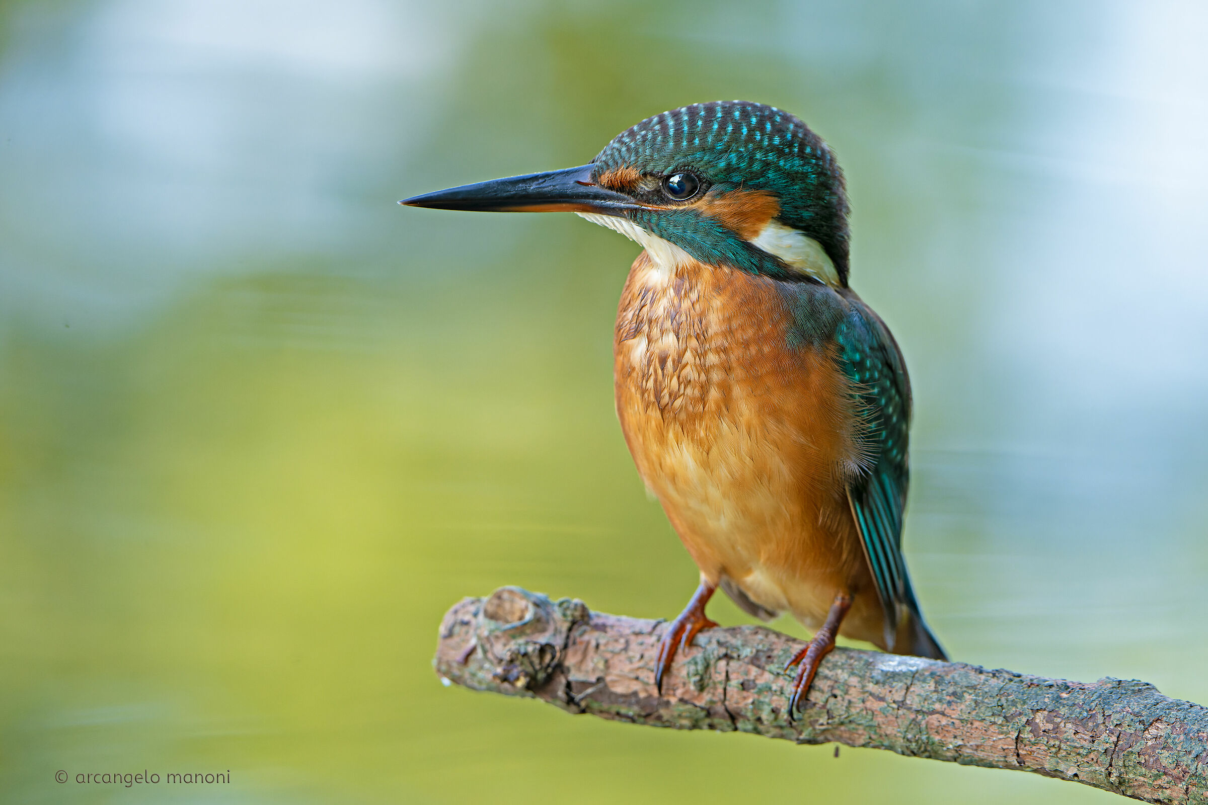 Nei riflessi del lago
