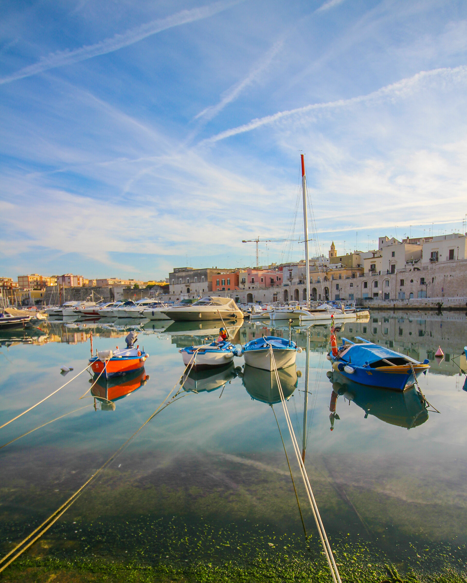 Buon 2024 da Bisceglie