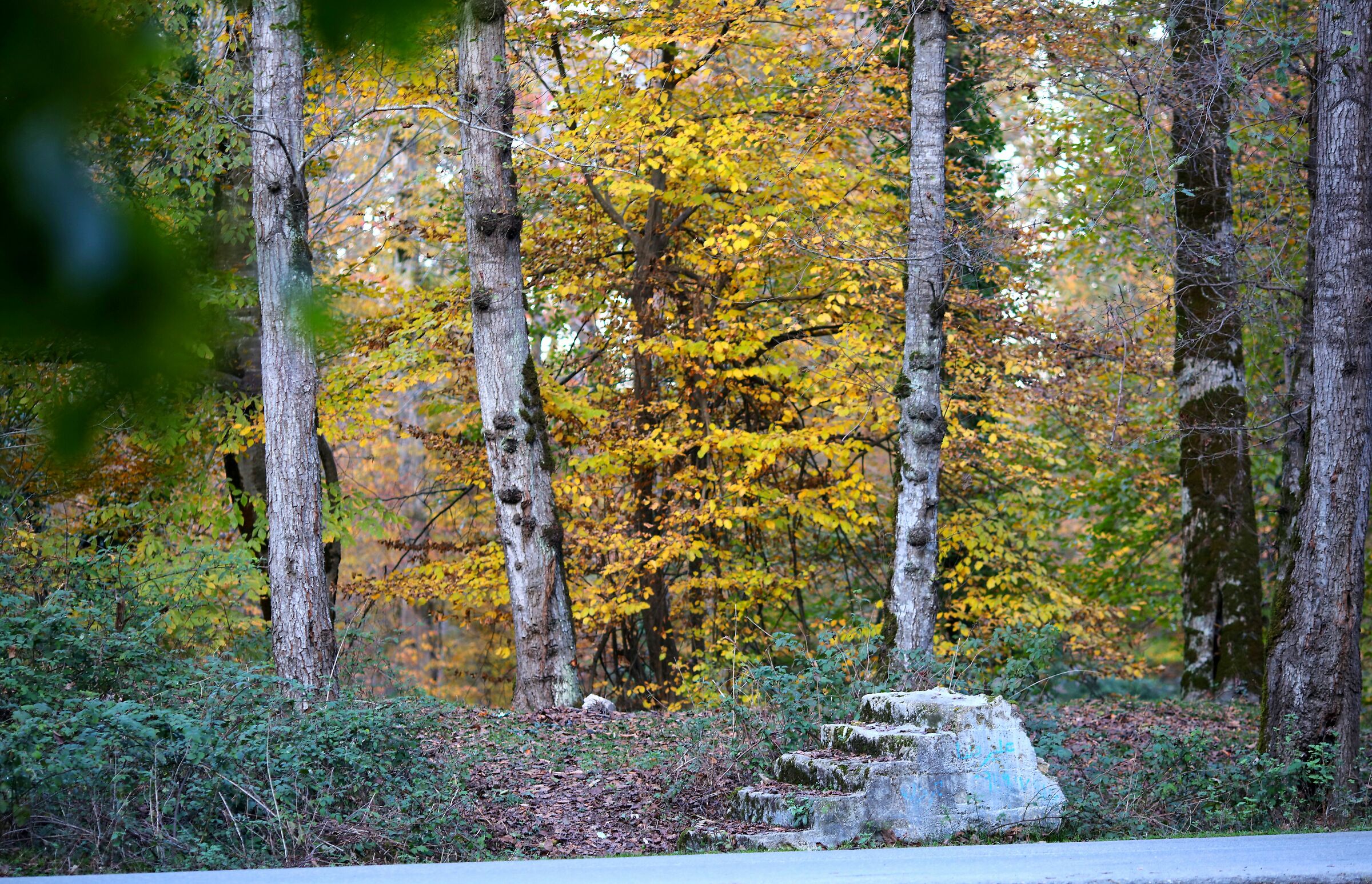 Obiettivo Canon 5dsr 45 mm Tamron F 1.8