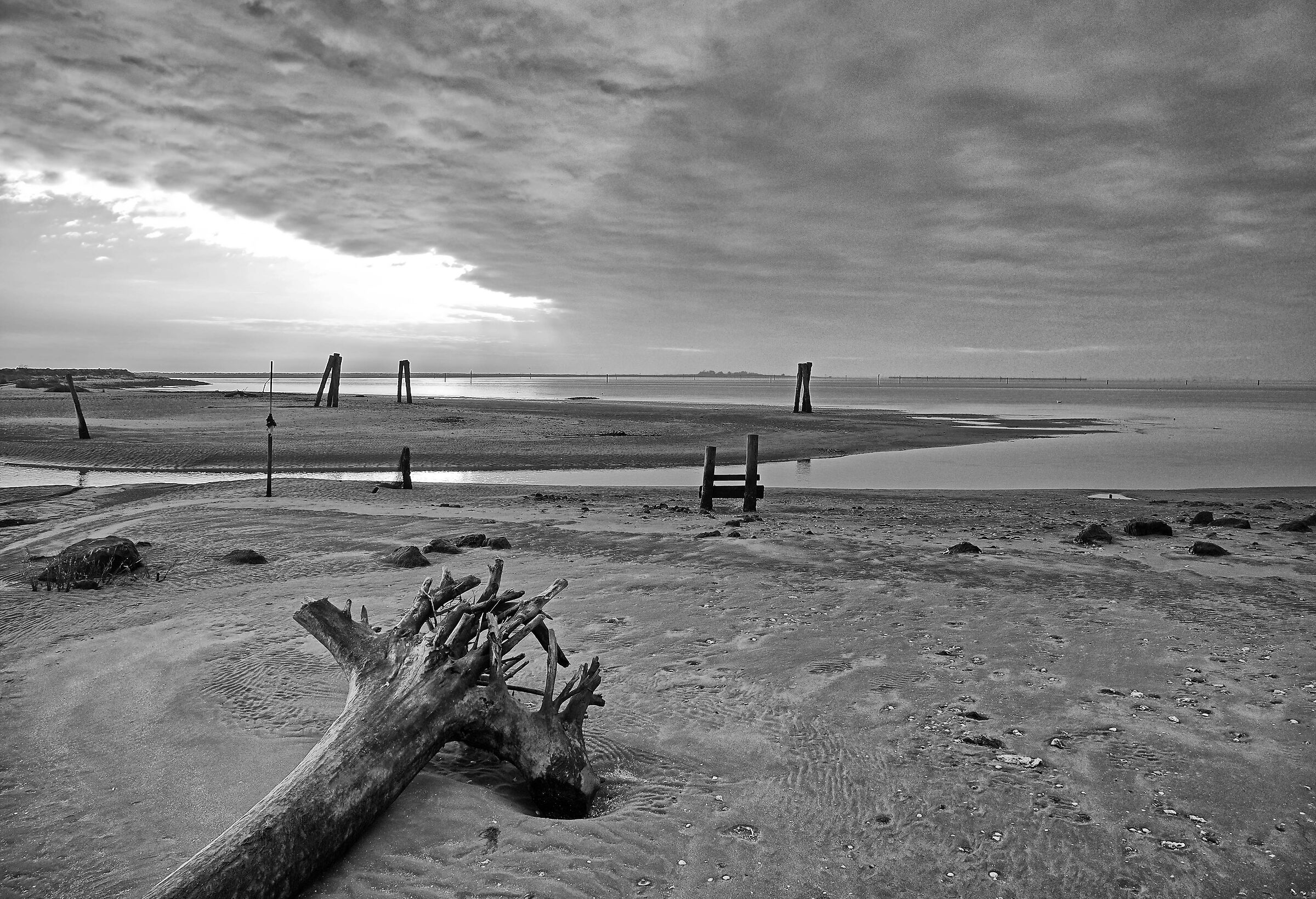 Near the Sacca degli Scardovari