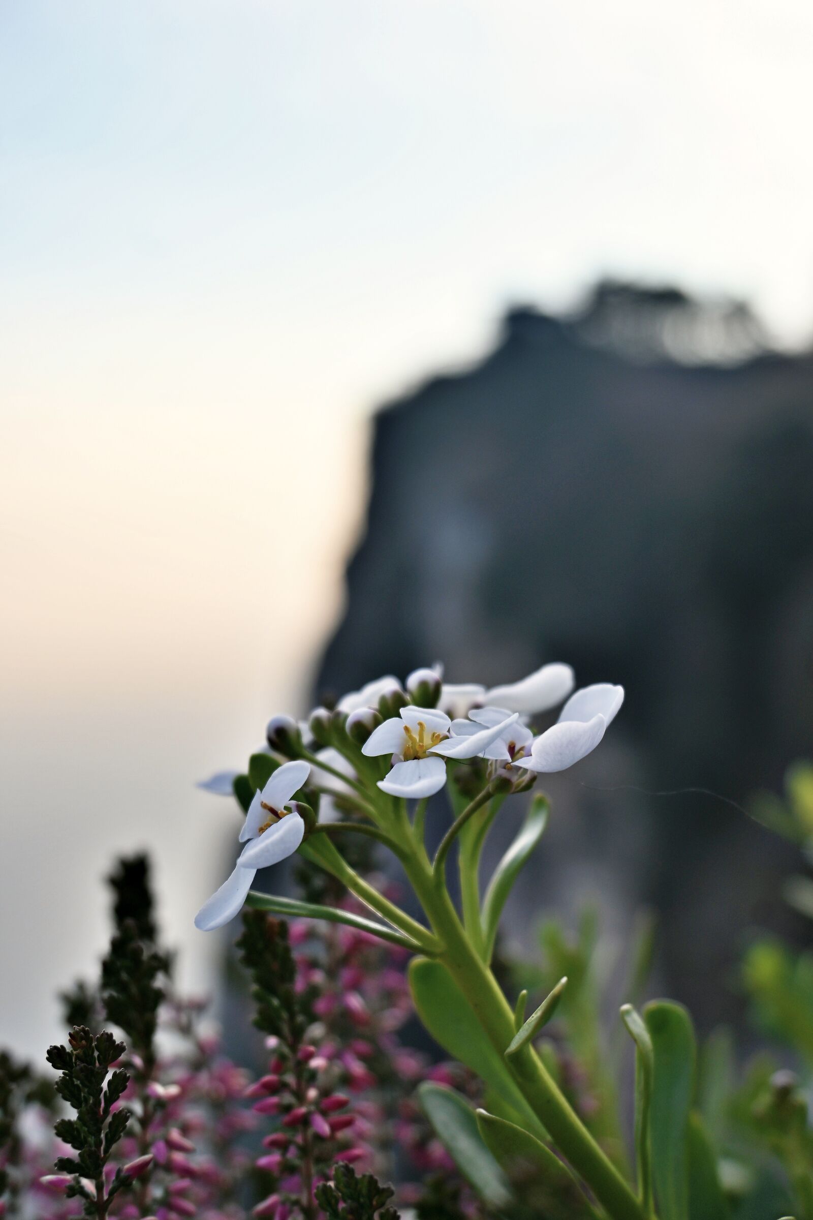 Terrazza di Tremosine