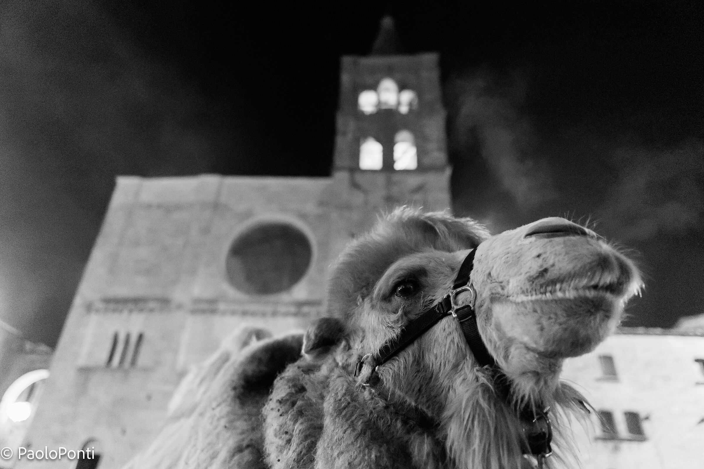 Living Nativity Scene Bevagna 4