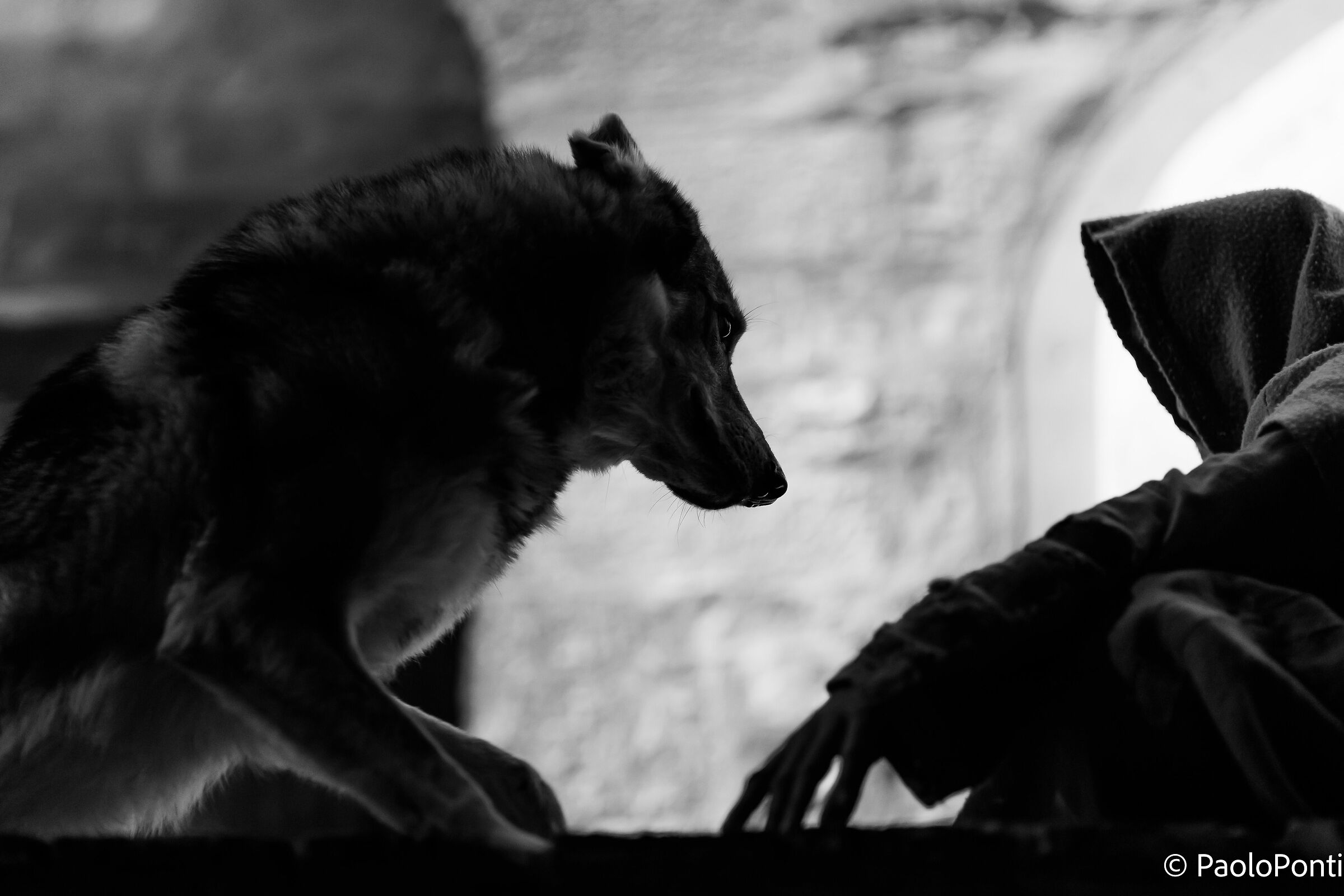 Living Nativity Scene Bevagna 6