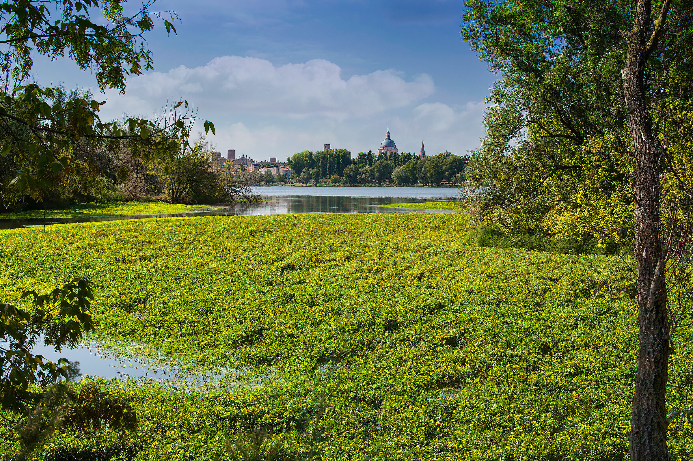 Mantova dal Lago di Mezzo