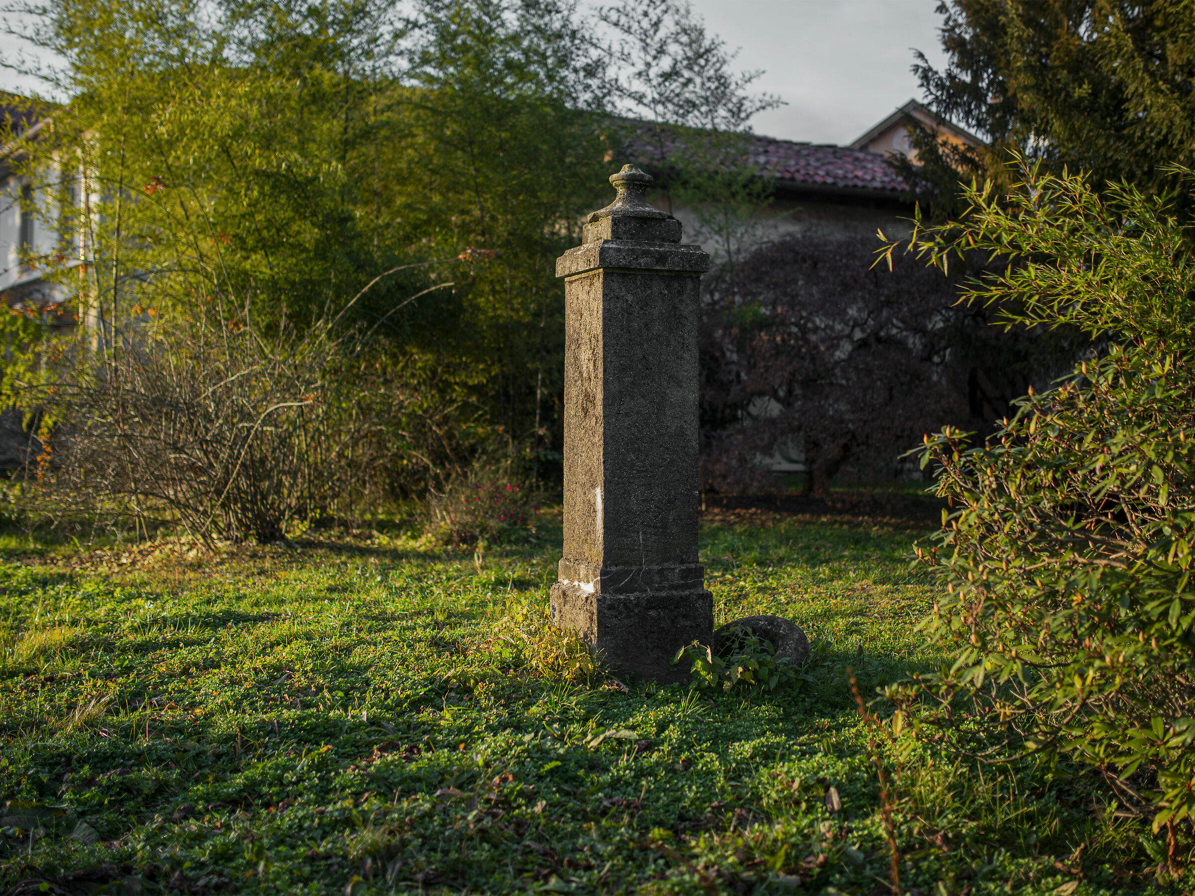 Photo2