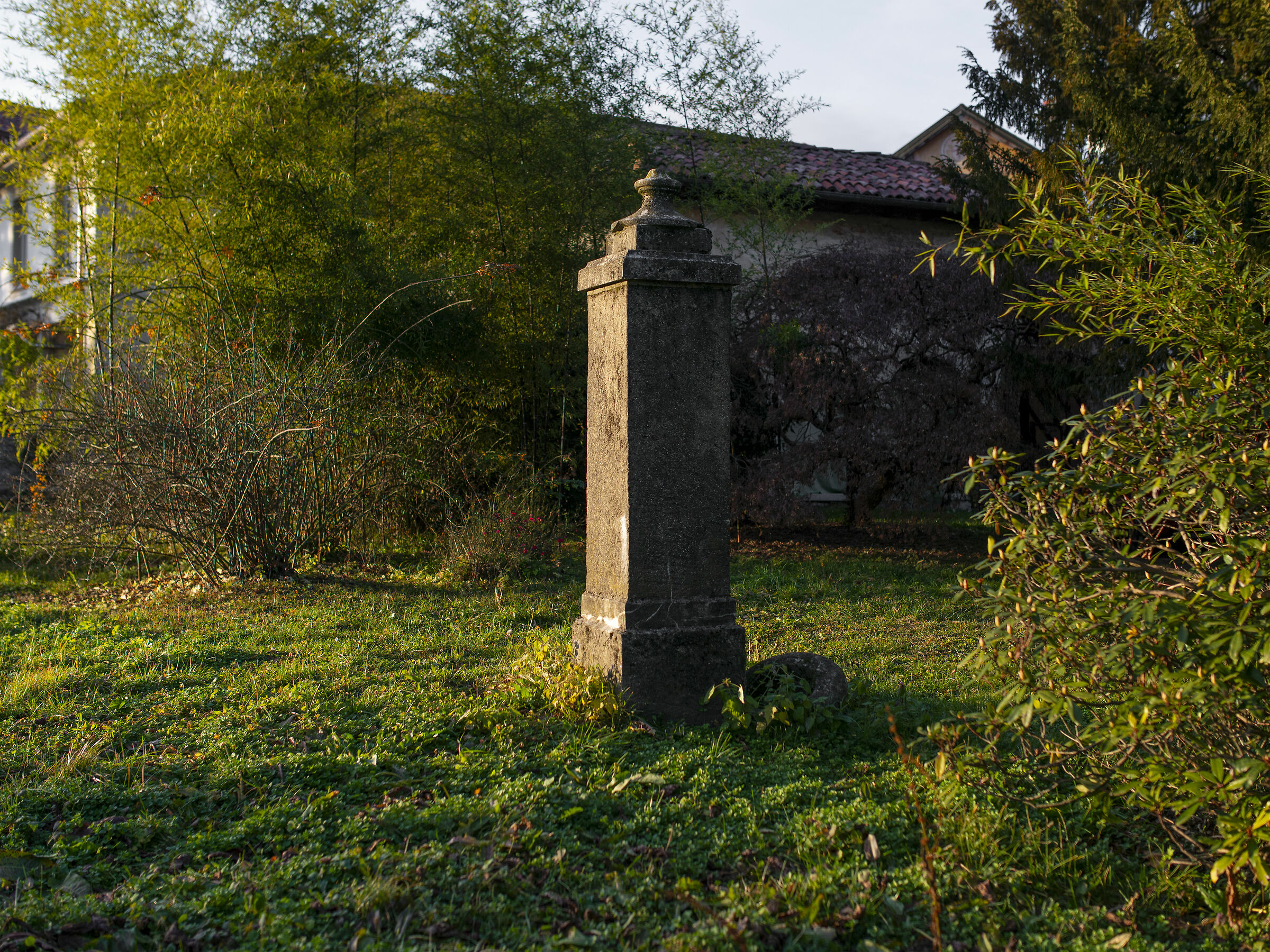 Photo3