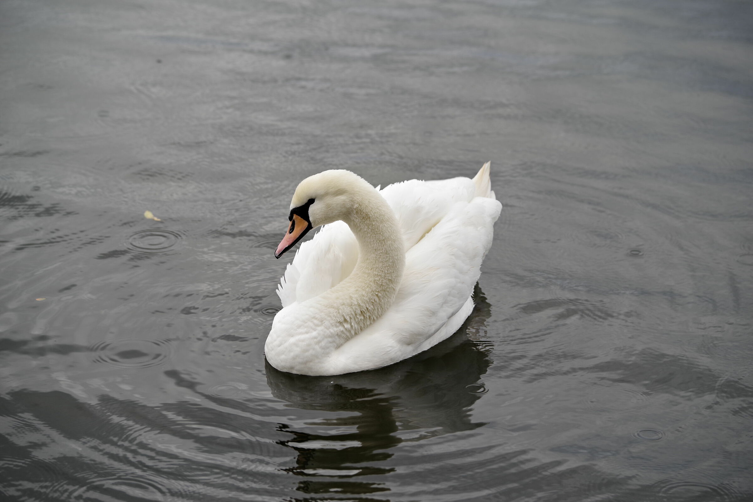 Parco Fogliano (Latina)
