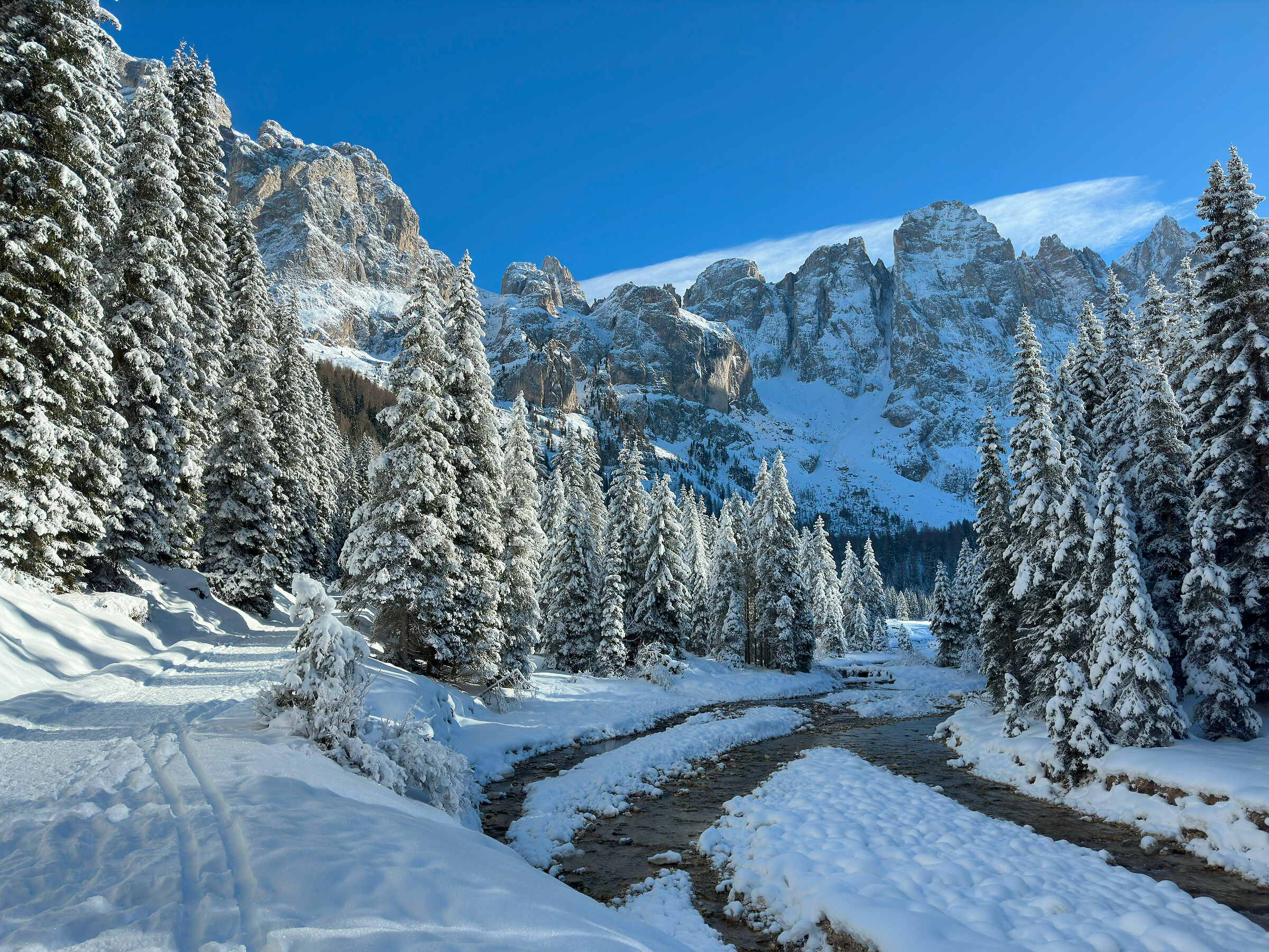 Val Venegia e il torrente Travignolo
