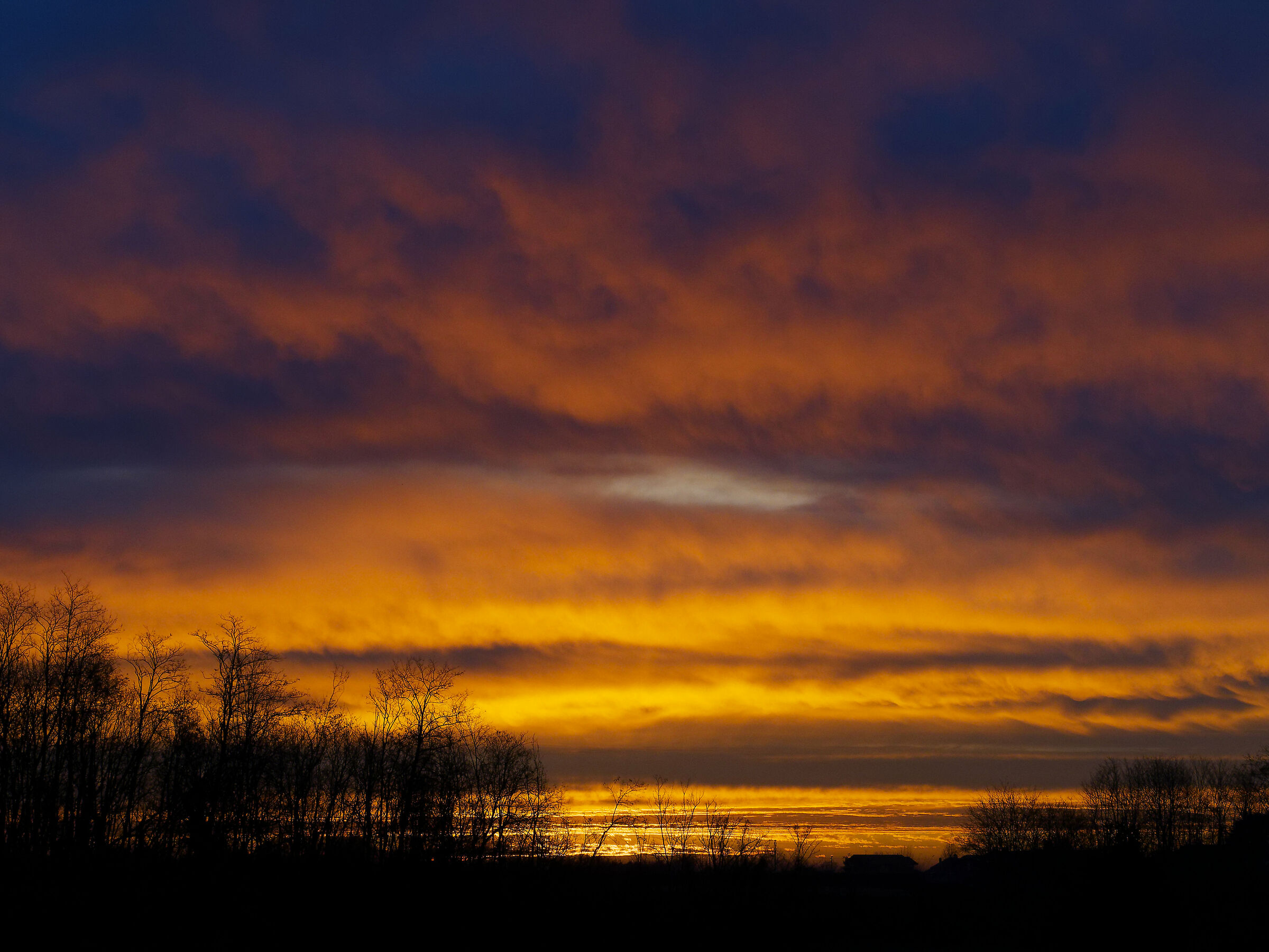 Fredda alba invernale... infuocata