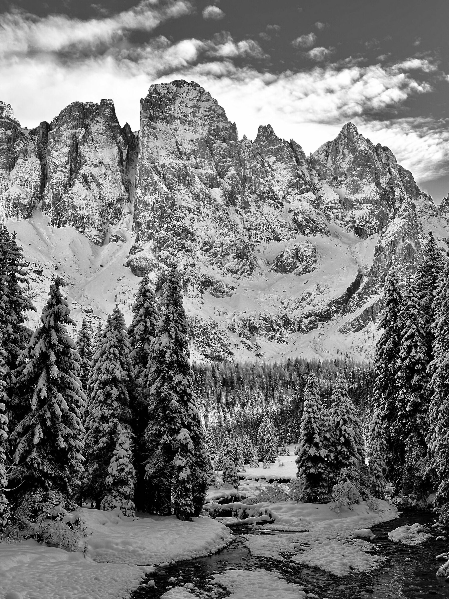 Le Pale di San Martino