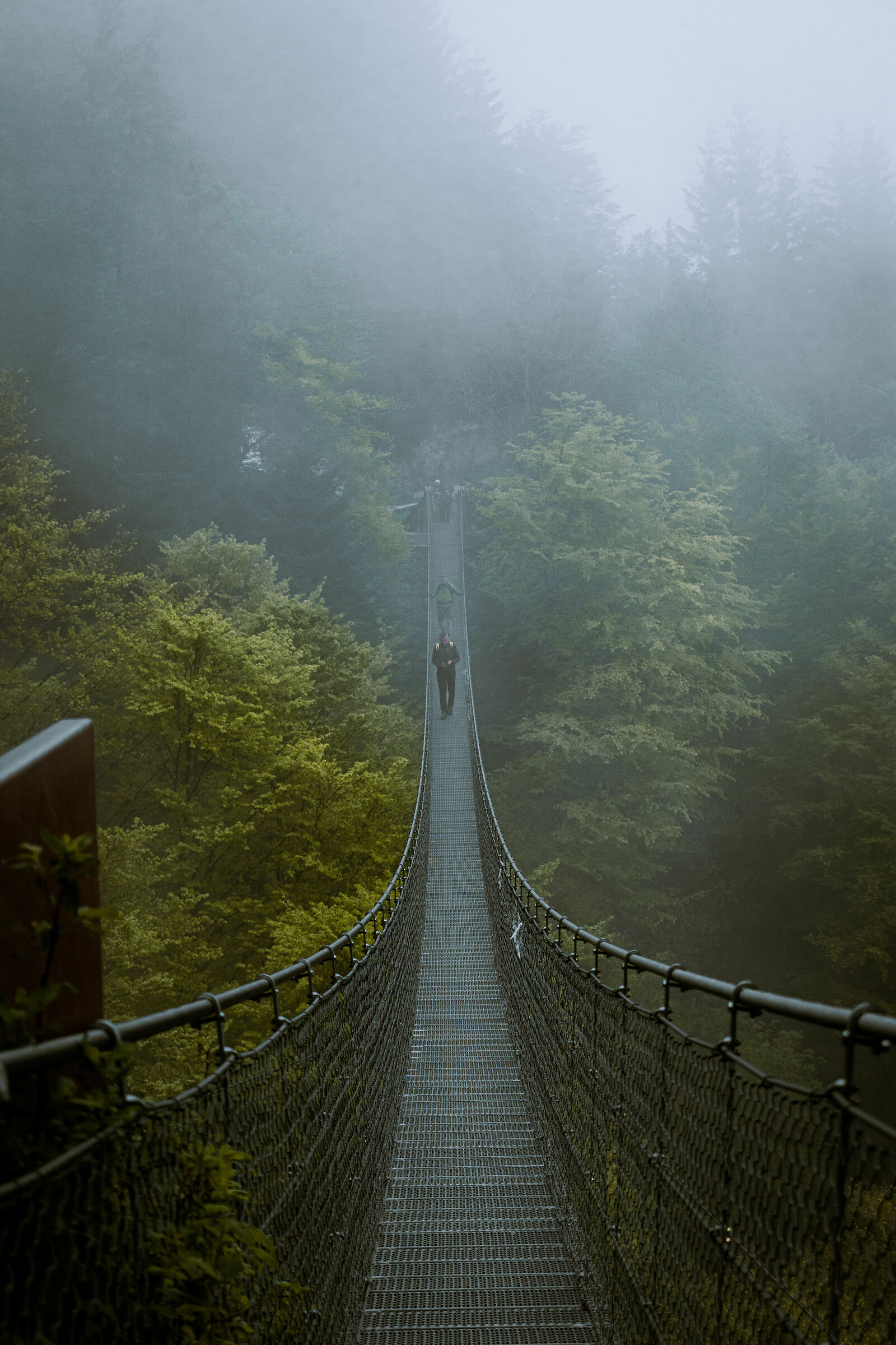 Foggy bridge
