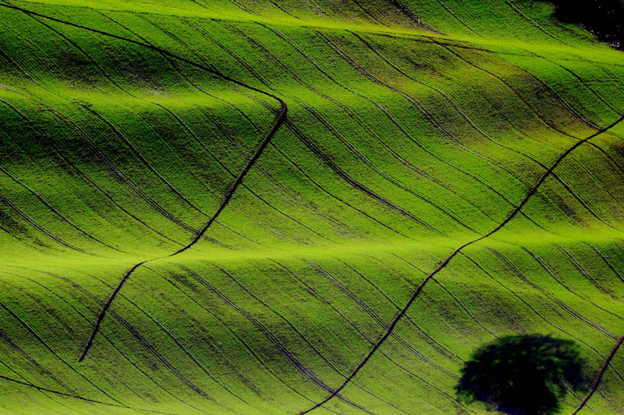 waves