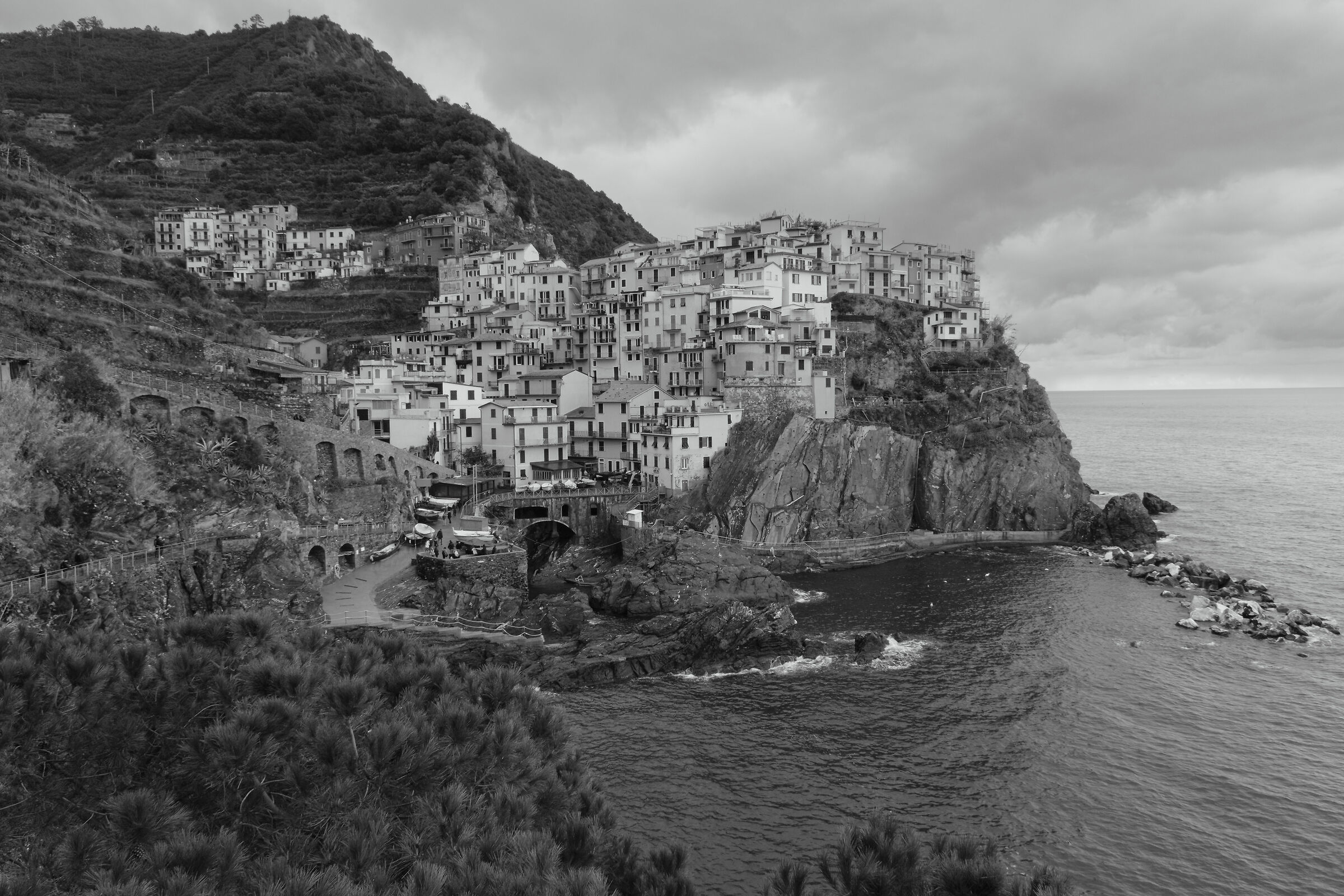 Manarola