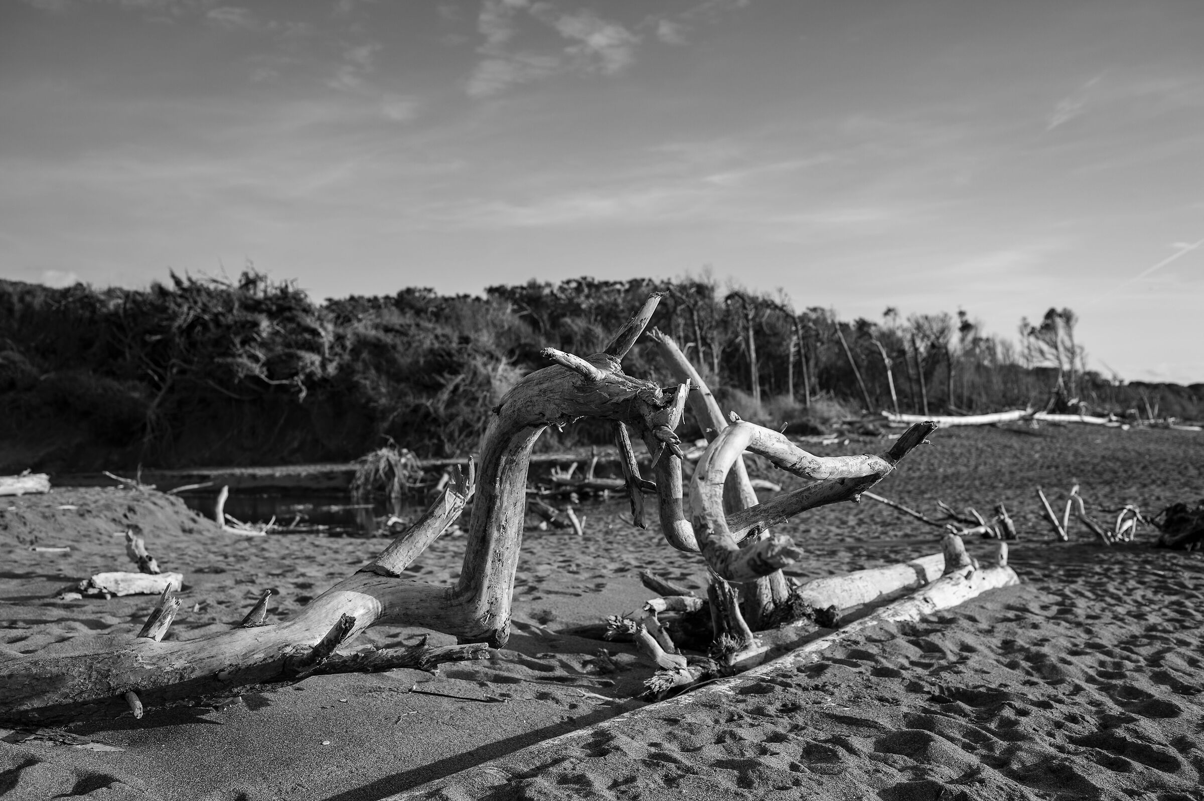 Mostri sulla spiaggia