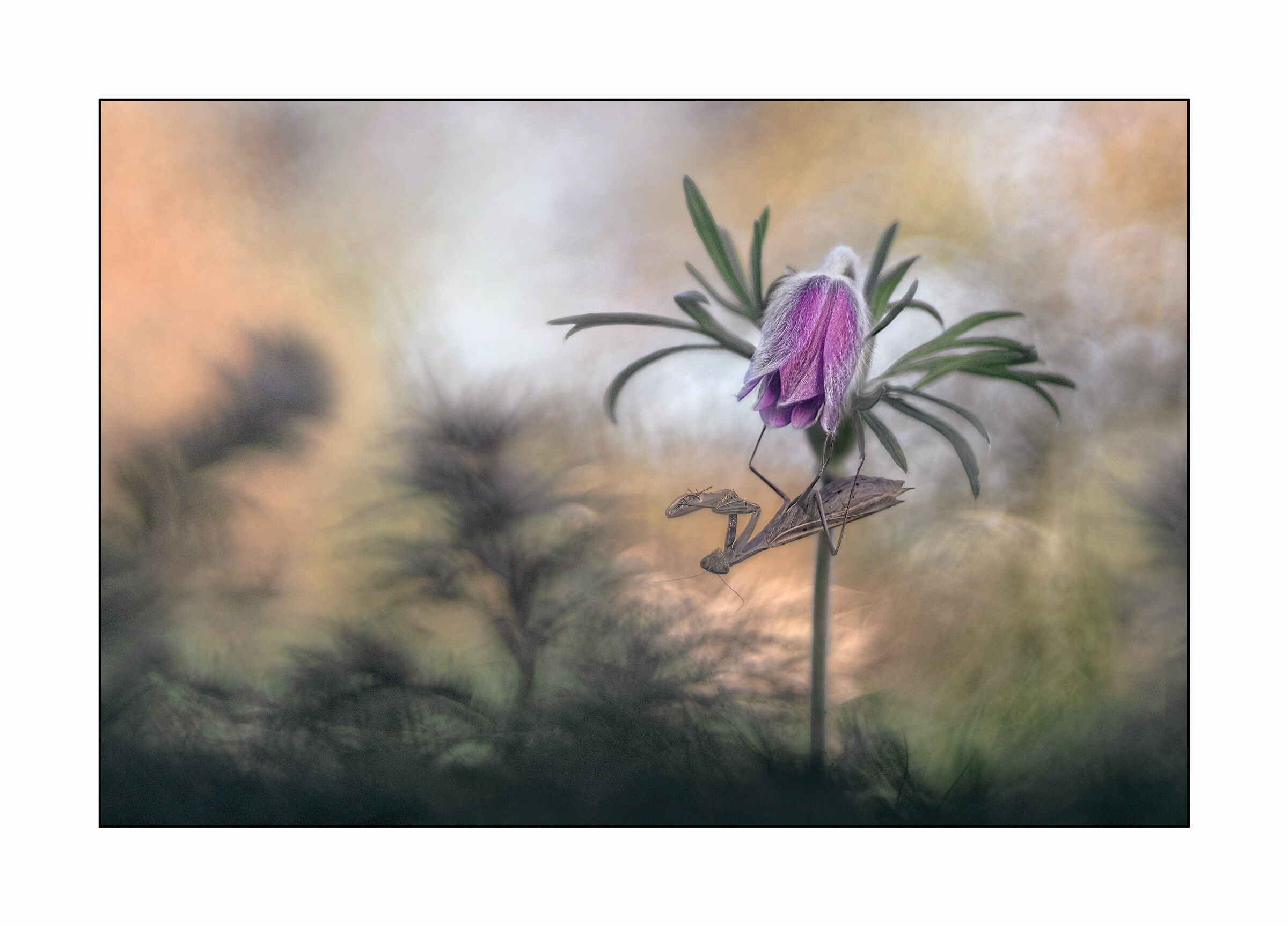 (almost) impossible encounters