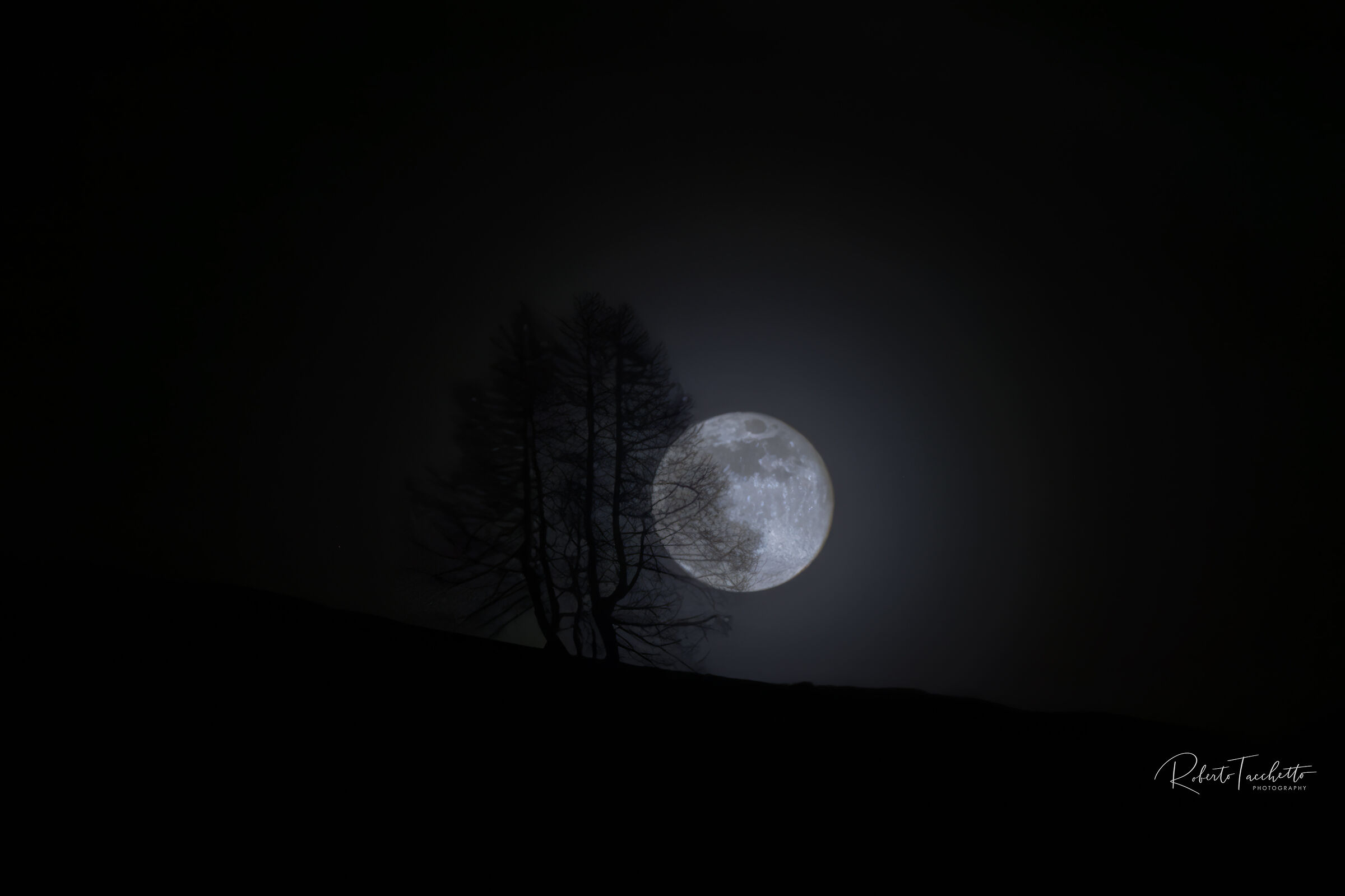 Moonlight