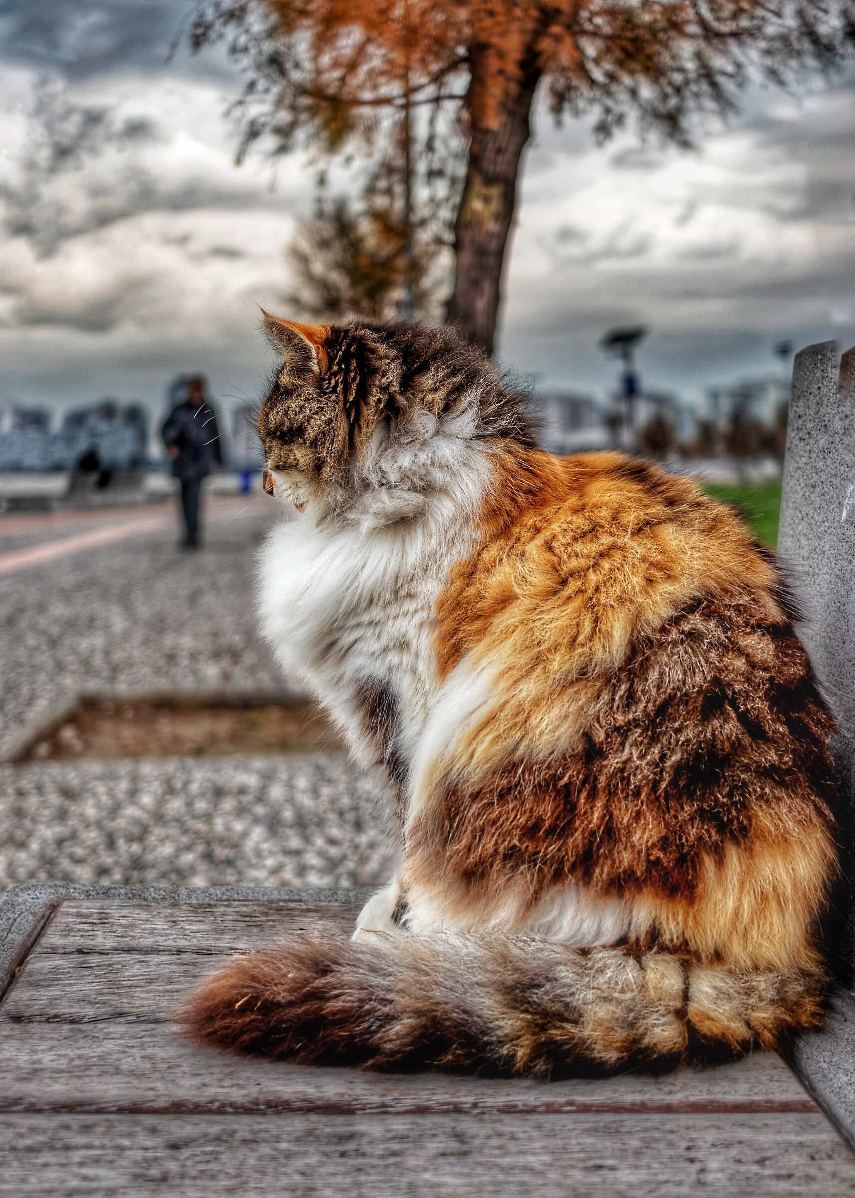 Non sei arrabbiato, vero?