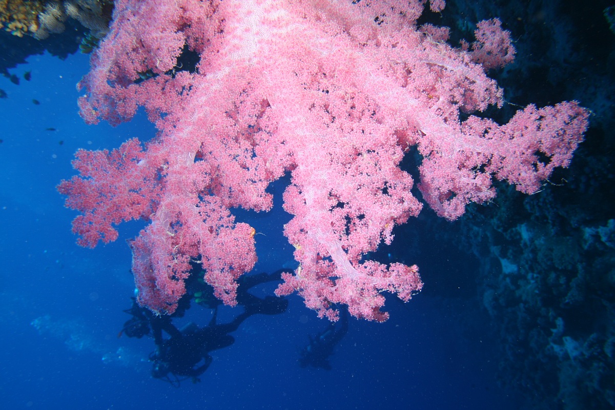 nel blu'..e non solo