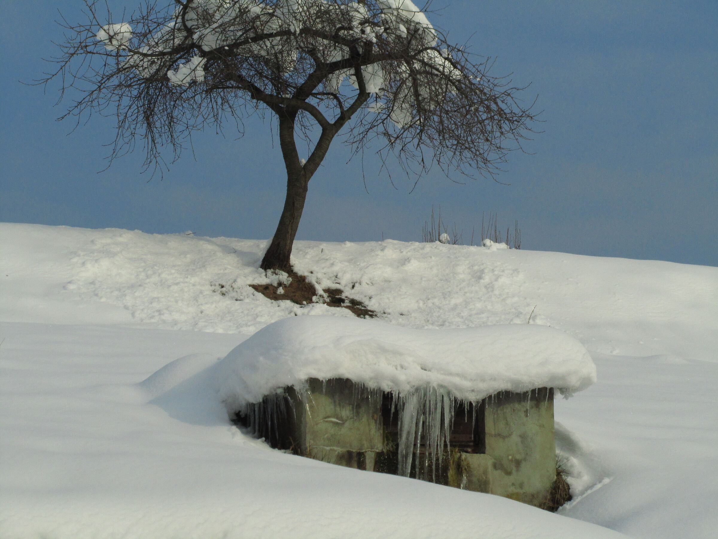 07/02/2012 last heavy snowfall