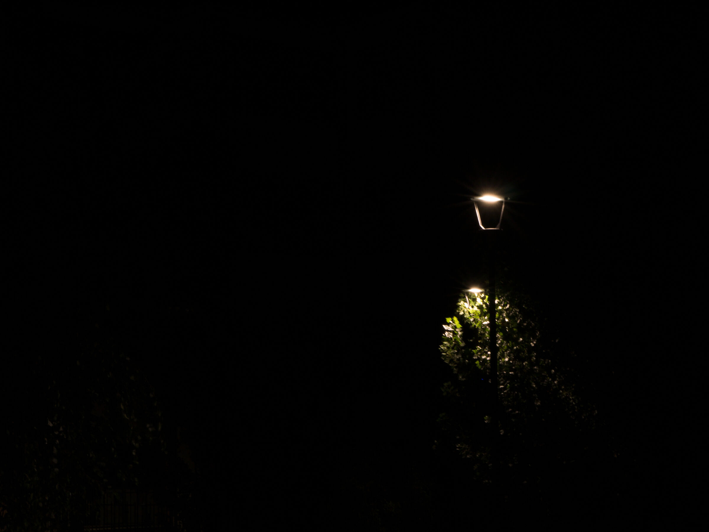 By lamplight.