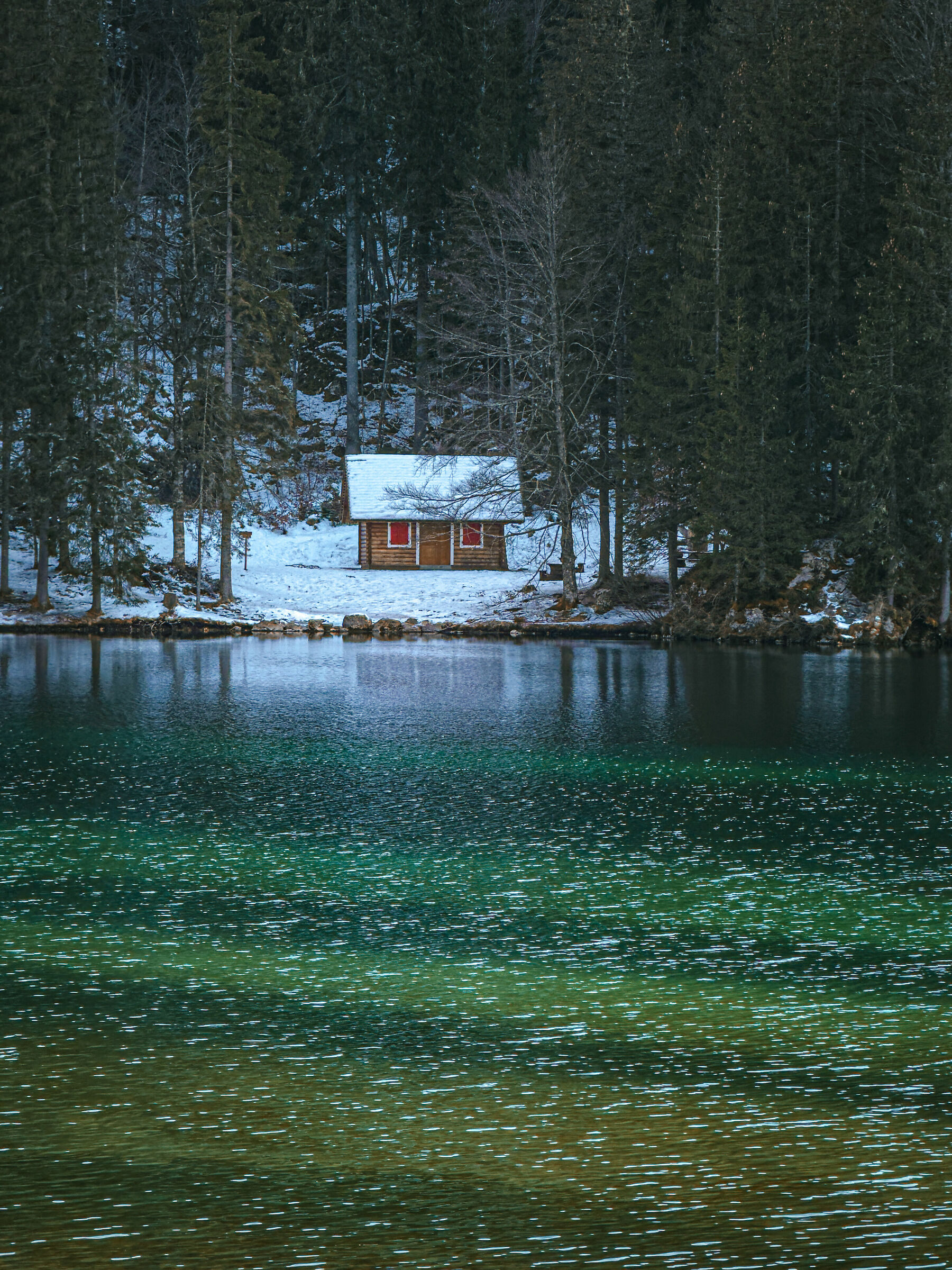 Tutto ciò di cui ho bisogno