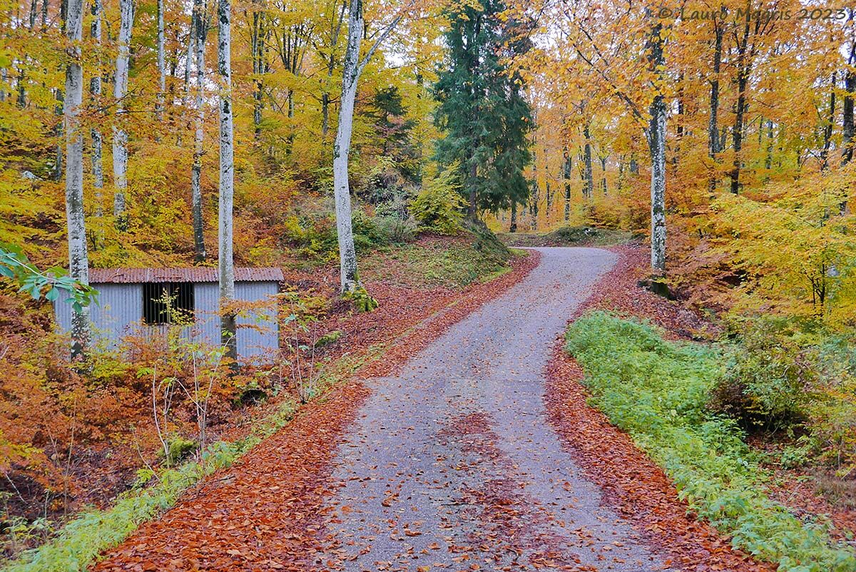 Hangar in the colours