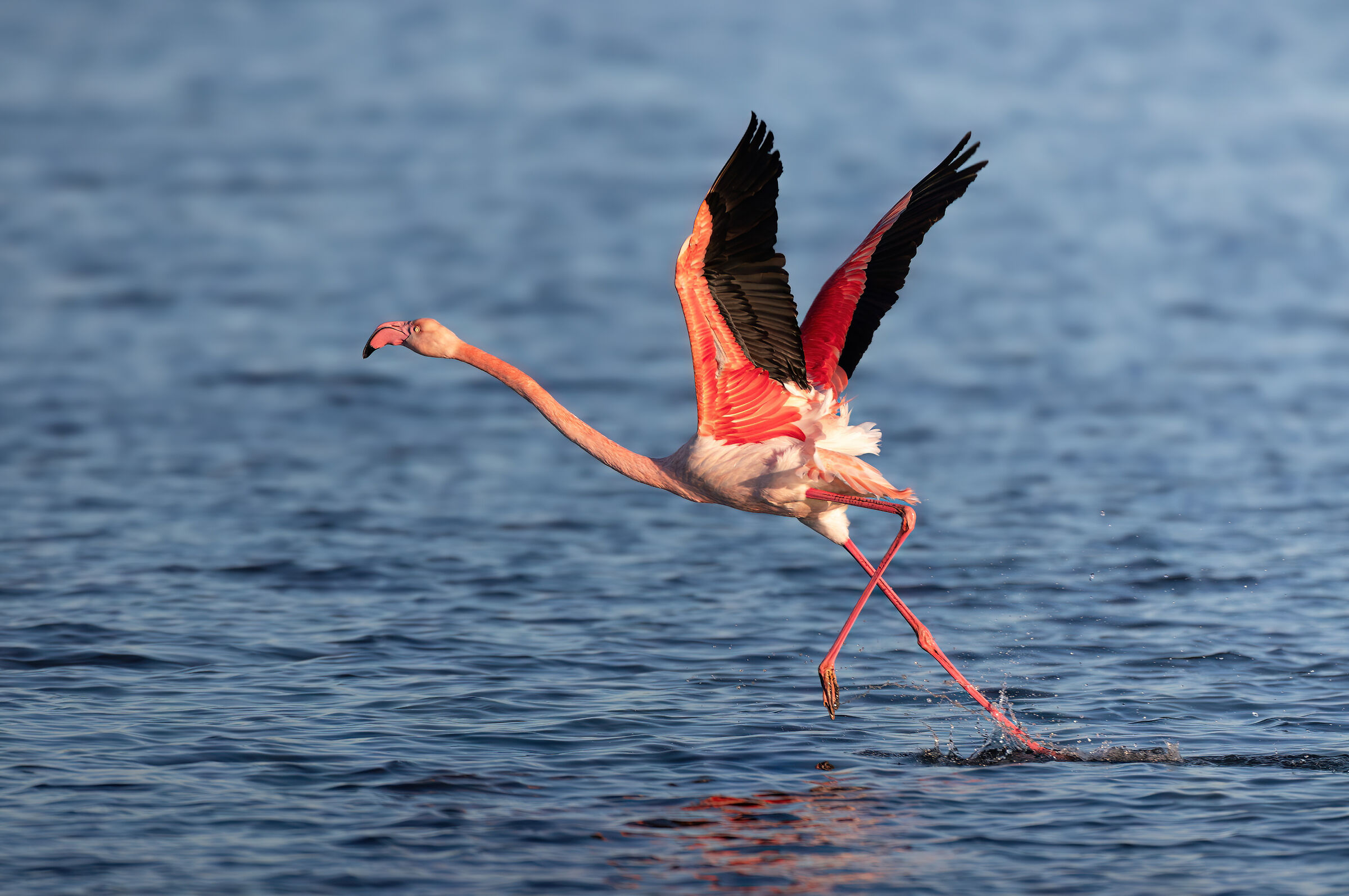 Inflight