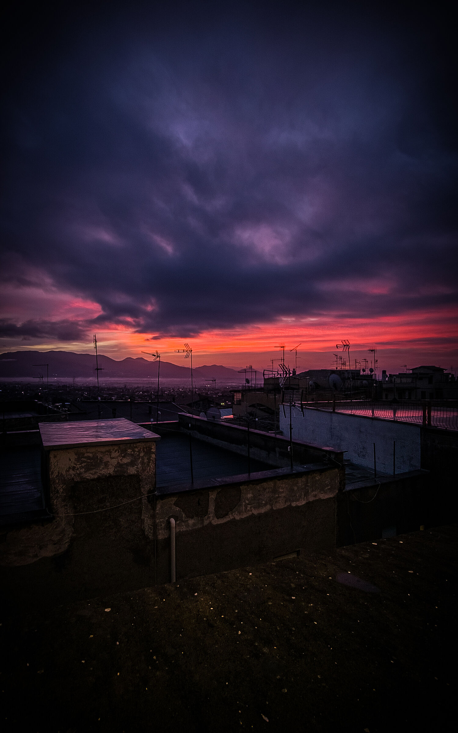 From the town of Velletri.